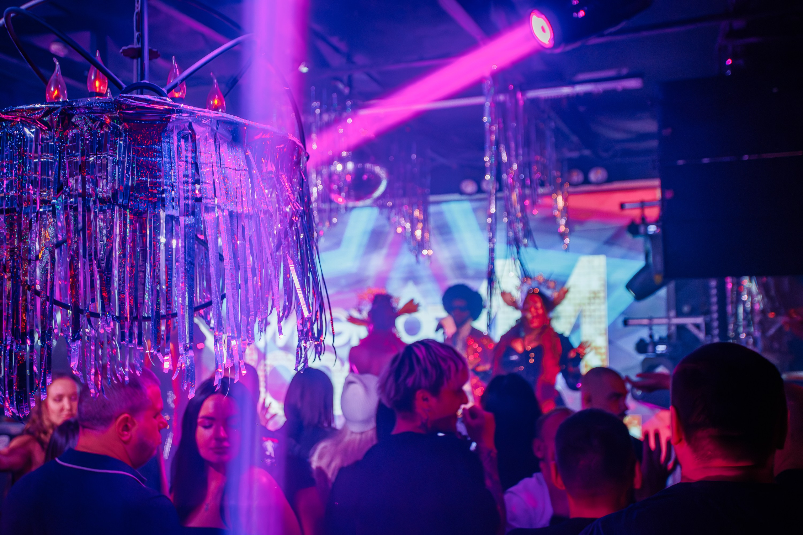 «Magic of BONEY`M «_Чайка на пляже_Ялта_06.12.2025 г. Аминов Руслан | Фотограф