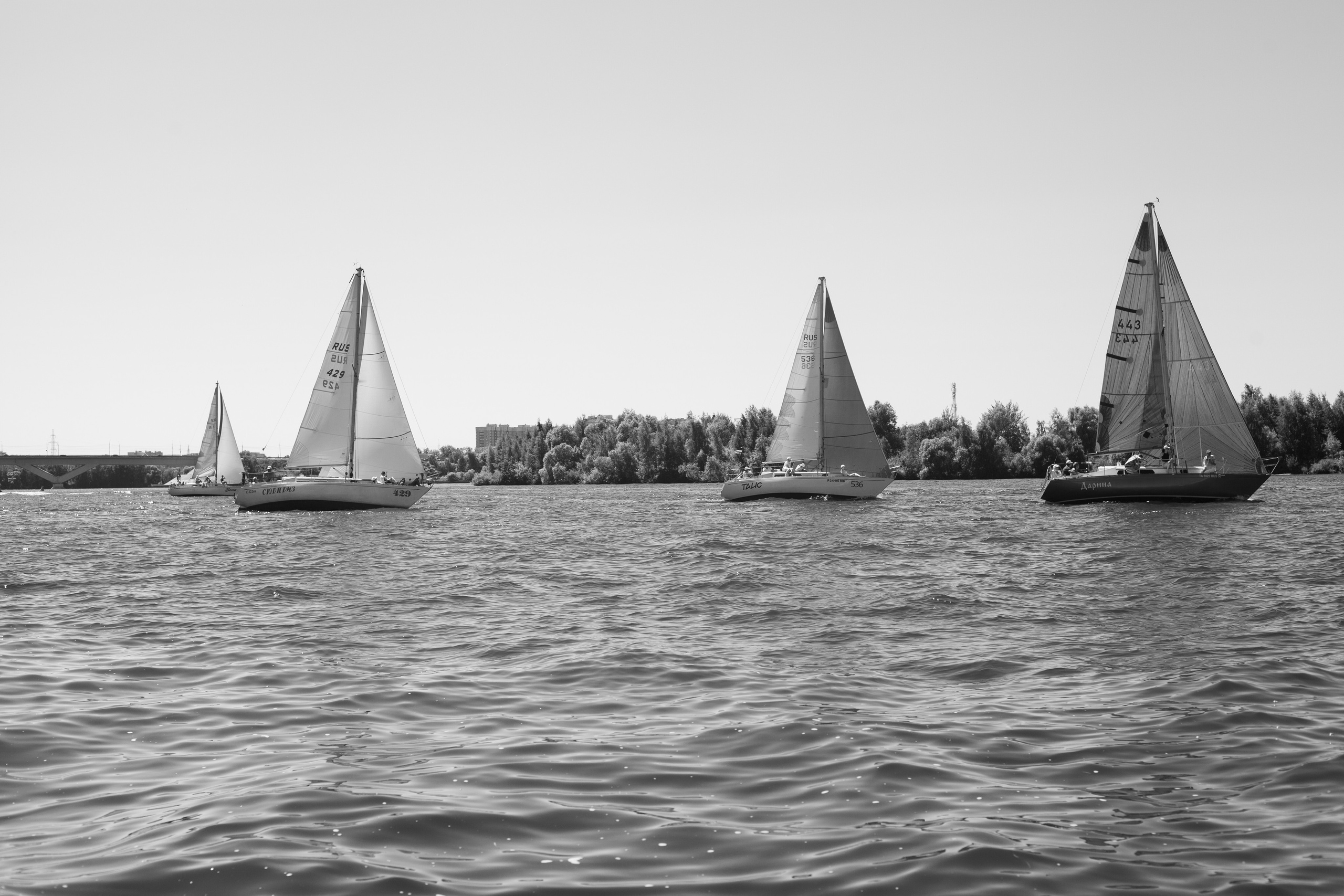 Регата. Семейный и детский фотограф в Москве Дорогова Екатерина