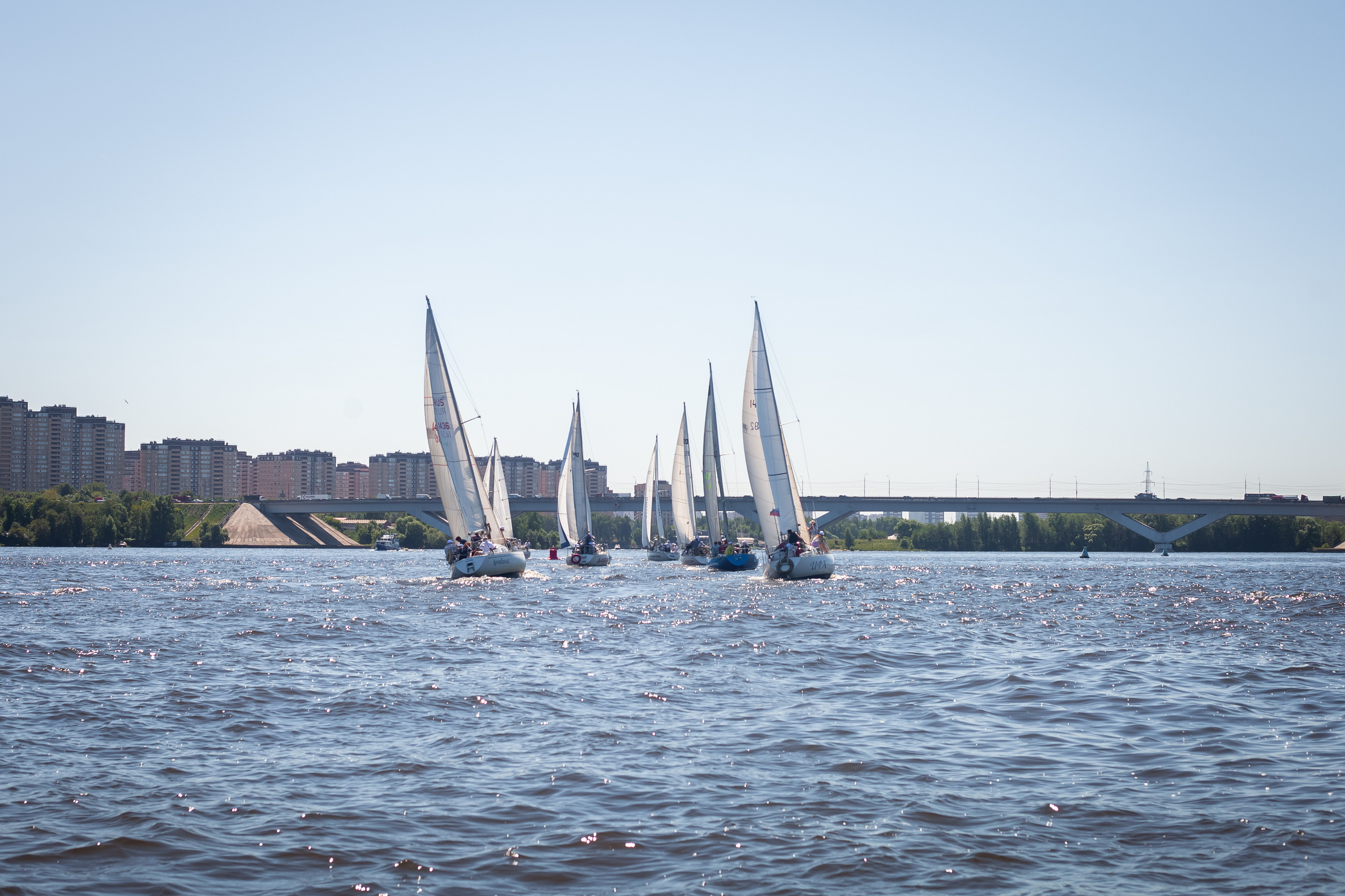 Регата. Семейный и детский фотограф в Москве Дорогова Екатерина