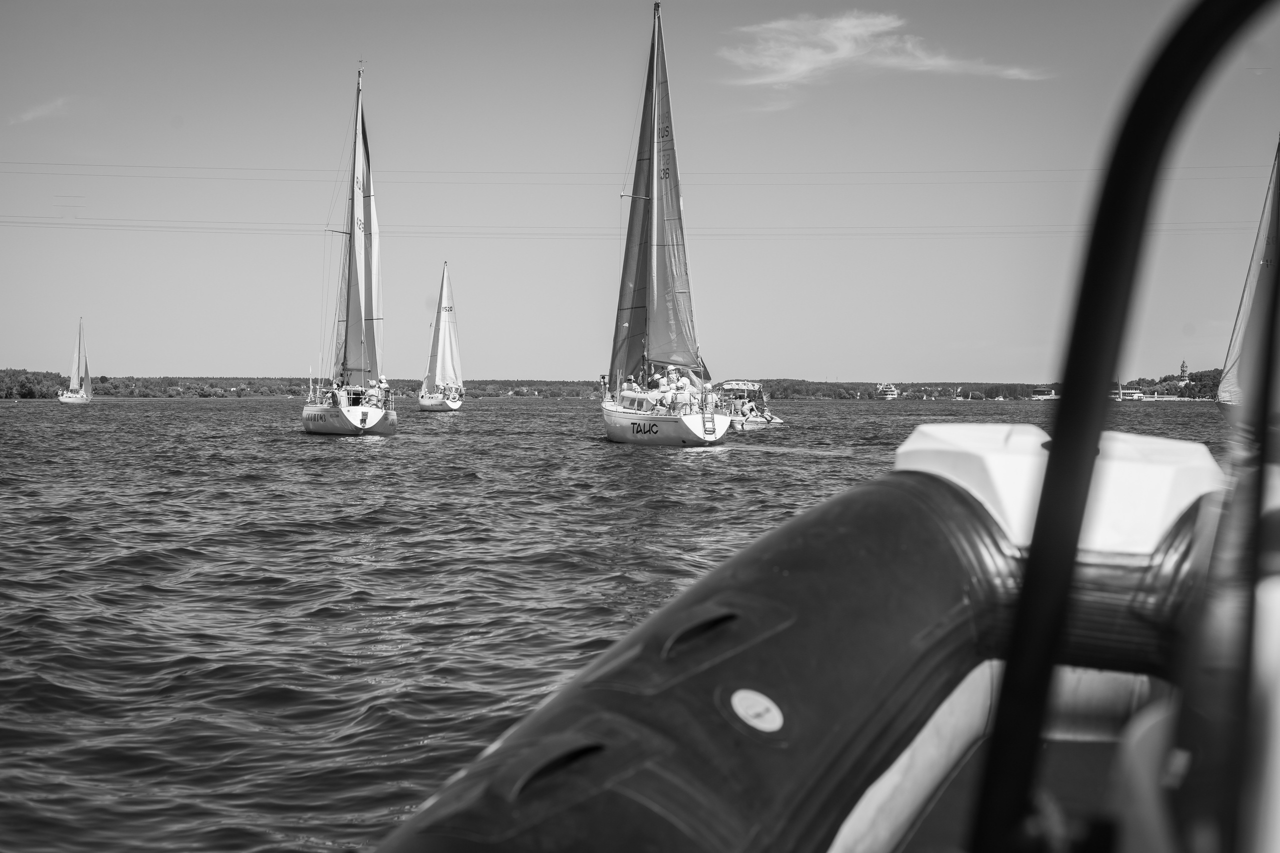 Регата. Семейный и детский фотограф в Москве Дорогова Екатерина