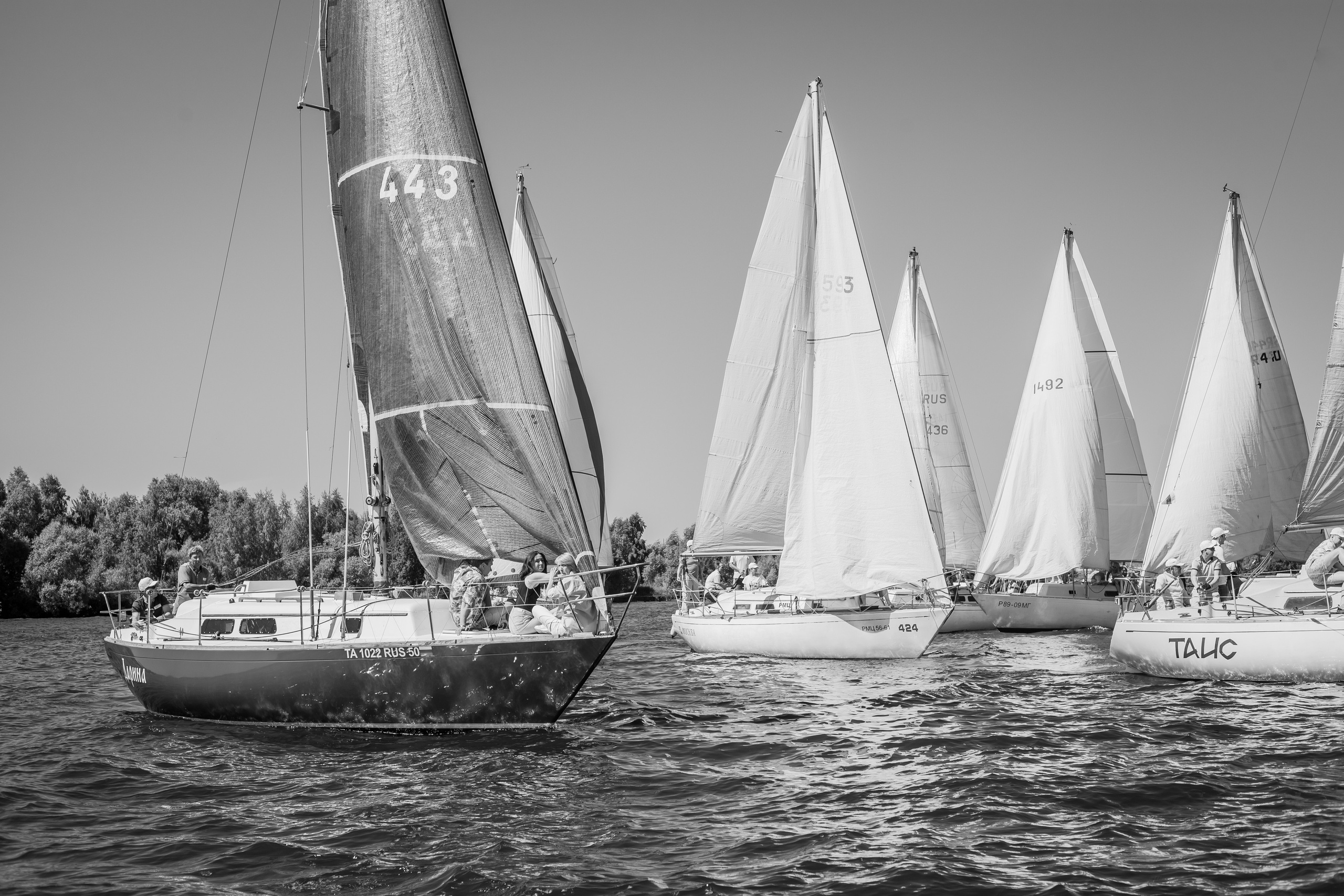 Регата. Семейный и детский фотограф в Москве Дорогова Екатерина