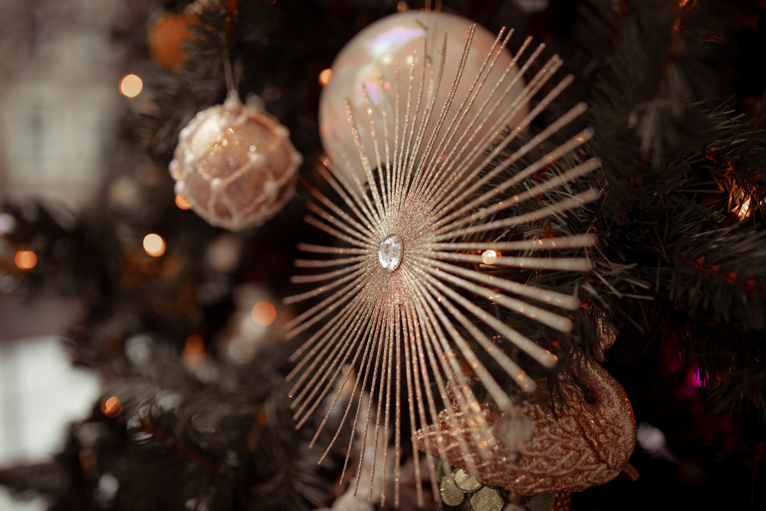 Анастасия и Ярослав. Семейный и детский фотограф в Москве Дорогова Екатерина