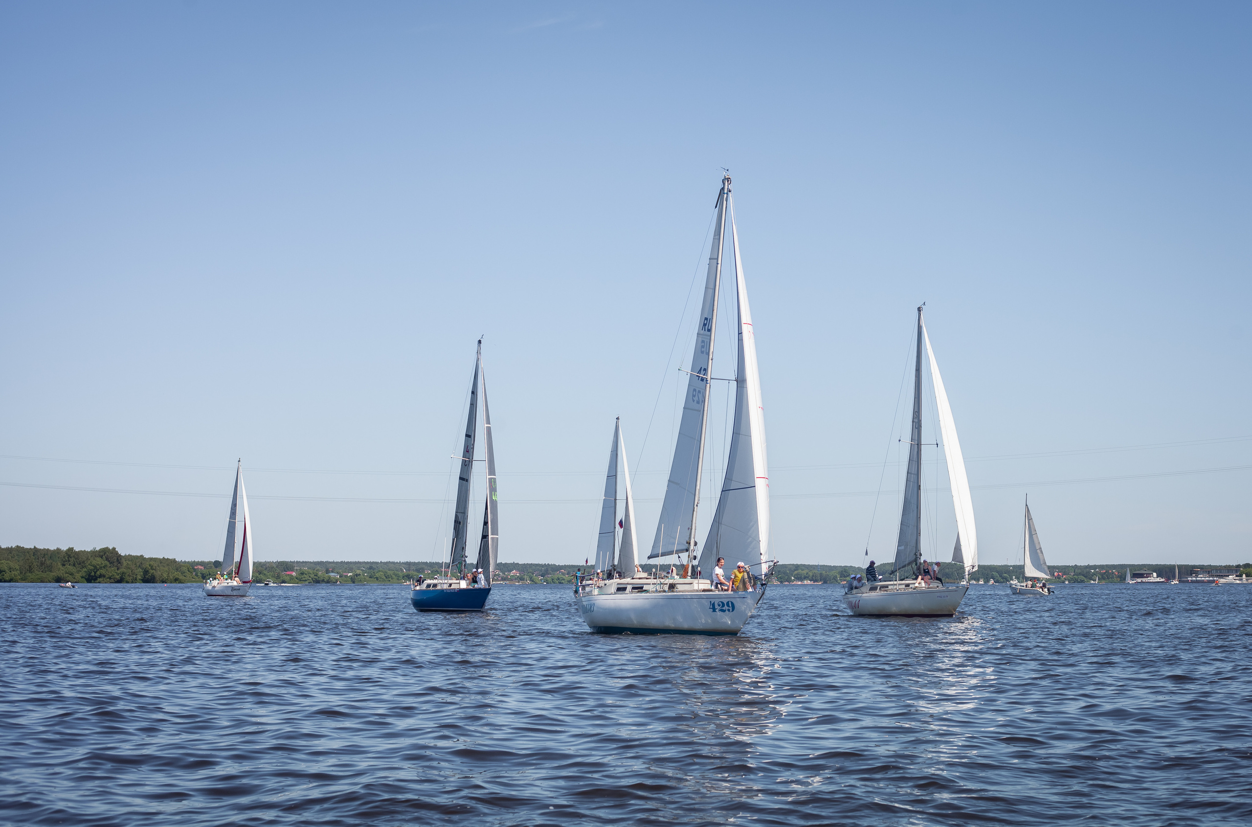 Регата. Семейный и детский фотограф в Москве Дорогова Екатерина