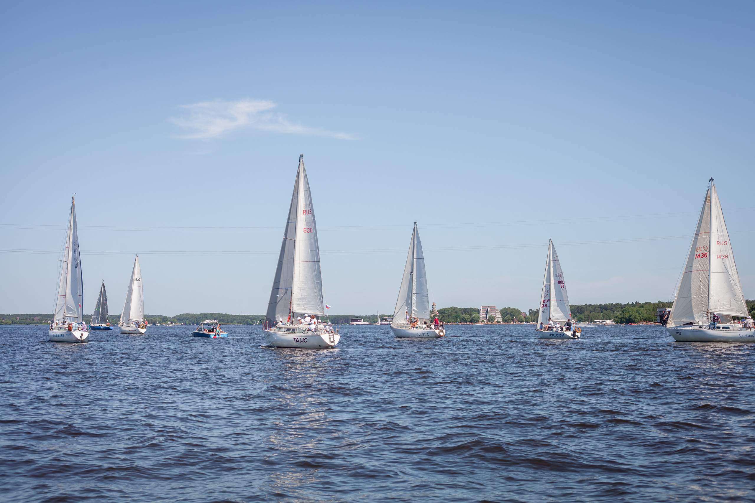 Регата. Семейный и детский фотограф в Москве Дорогова Екатерина