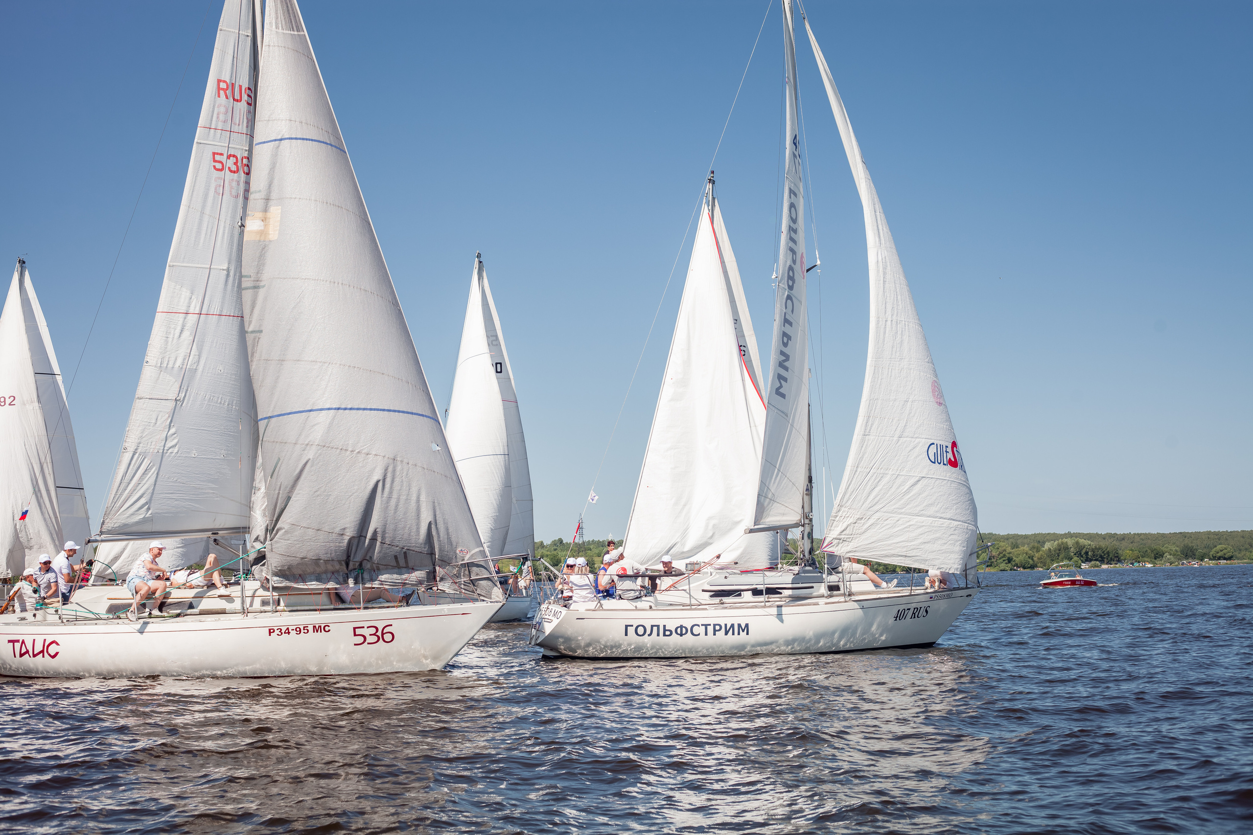 Регата. Семейный и детский фотограф в Москве Дорогова Екатерина