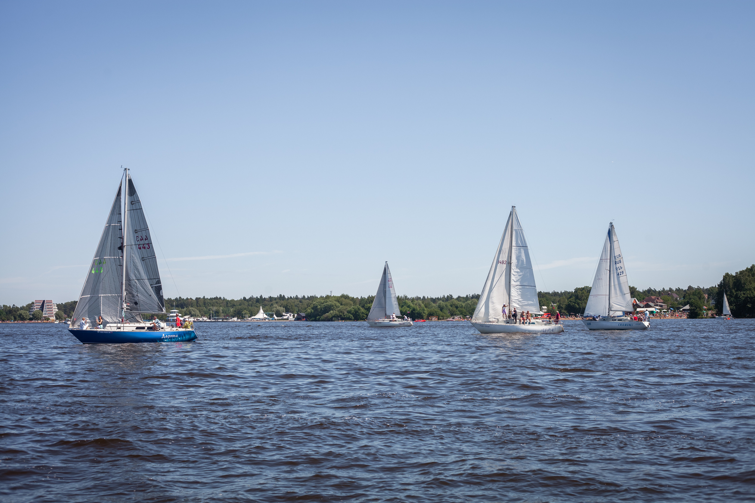 Регата. Семейный и детский фотограф в Москве Дорогова Екатерина