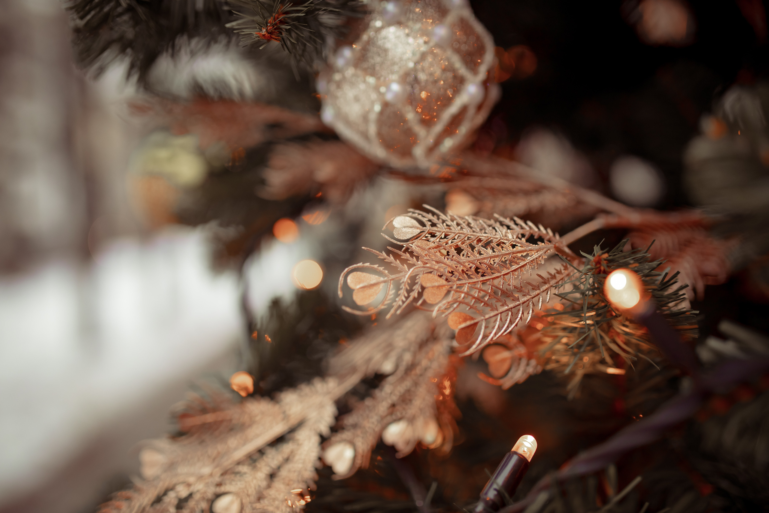 Анастасия и Ярослав. Семейный и детский фотограф в Москве Дорогова Екатерина