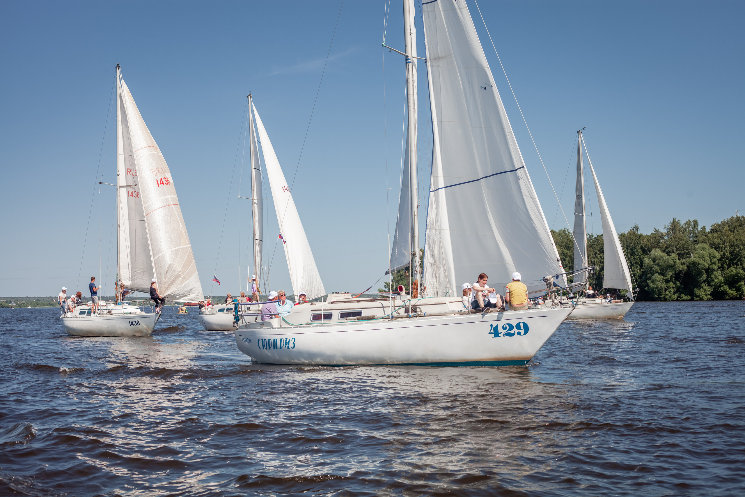 Регата. Семейный и детский фотограф в Москве Дорогова Екатерина