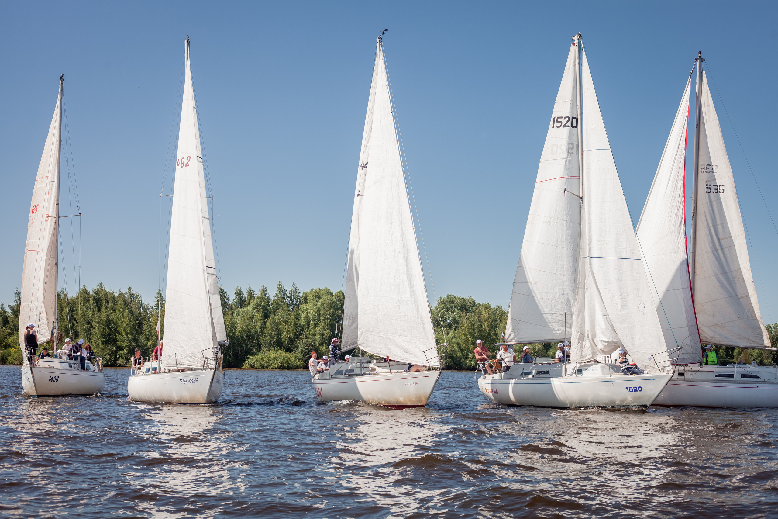 Регата. Семейный и детский фотограф в Москве Дорогова Екатерина