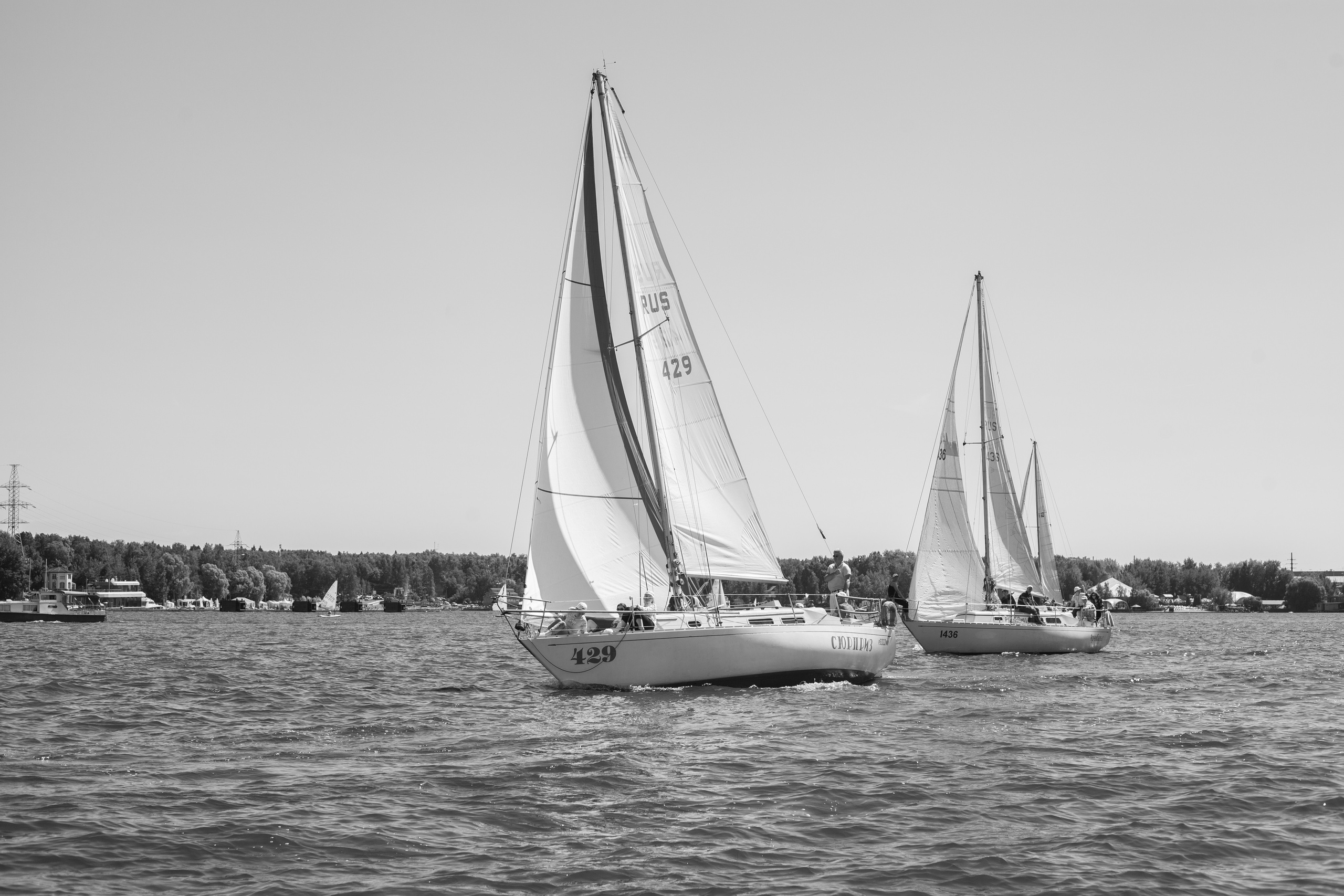 Регата. Семейный и детский фотограф в Москве Дорогова Екатерина