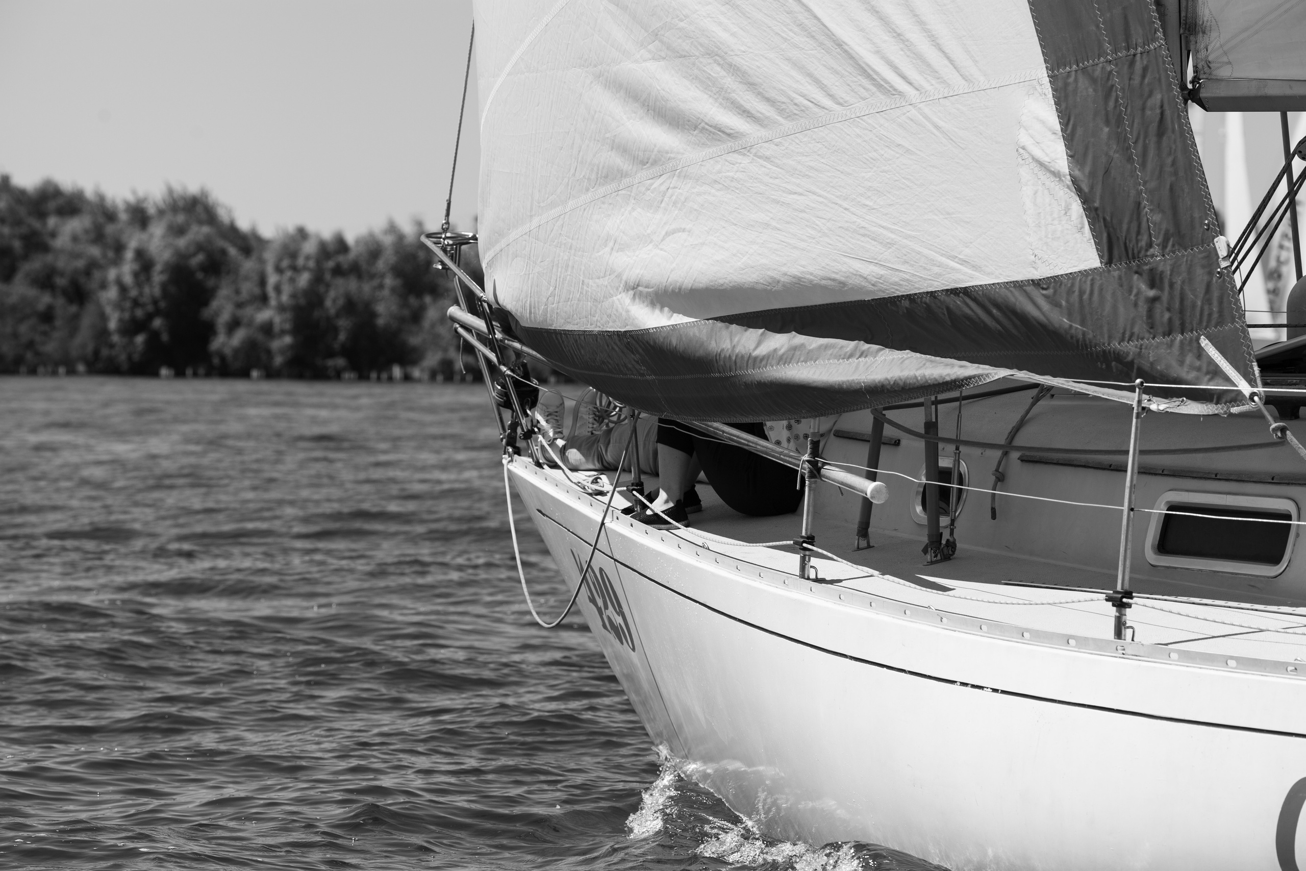 Регата. Семейный и детский фотограф в Москве Дорогова Екатерина