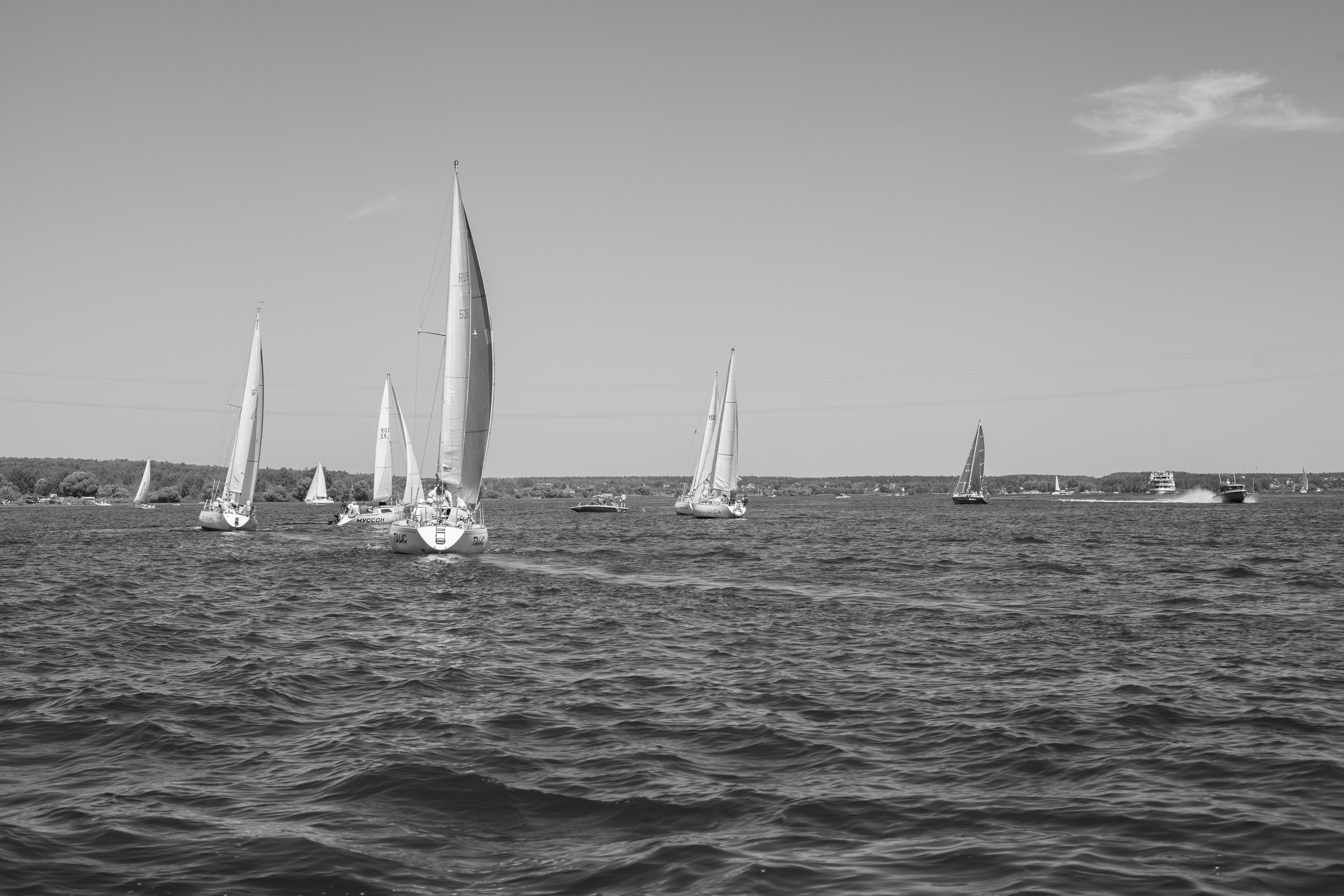 Регата. Семейный и детский фотограф в Москве Дорогова Екатерина