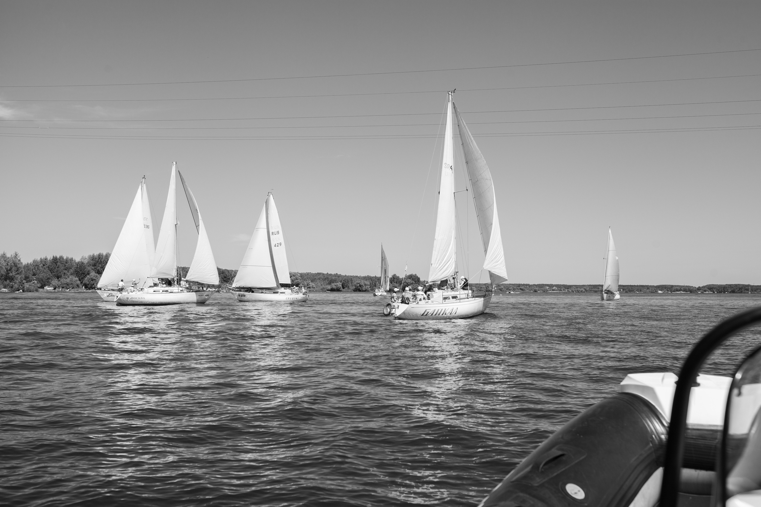 Регата. Семейный и детский фотограф в Москве Дорогова Екатерина