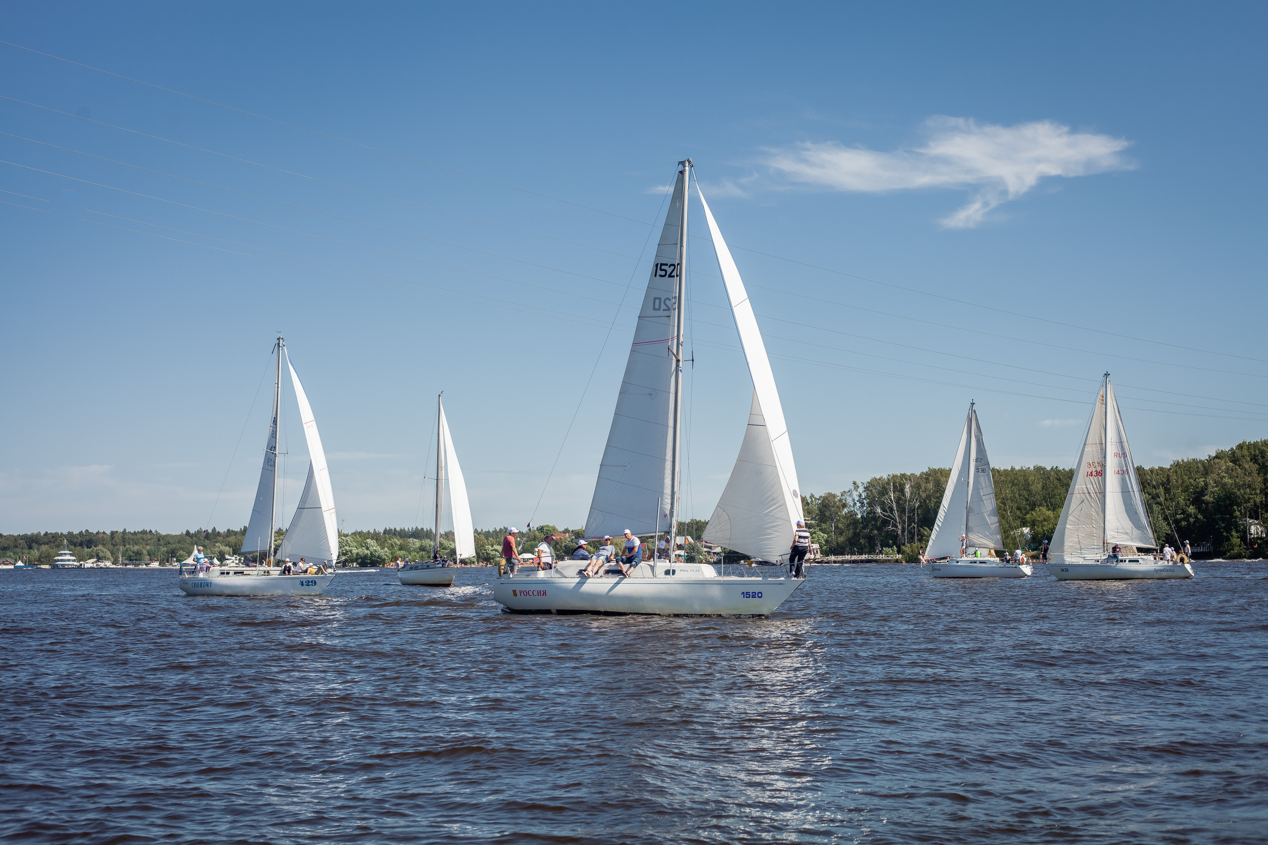 Регата. Семейный и детский фотограф в Москве Дорогова Екатерина