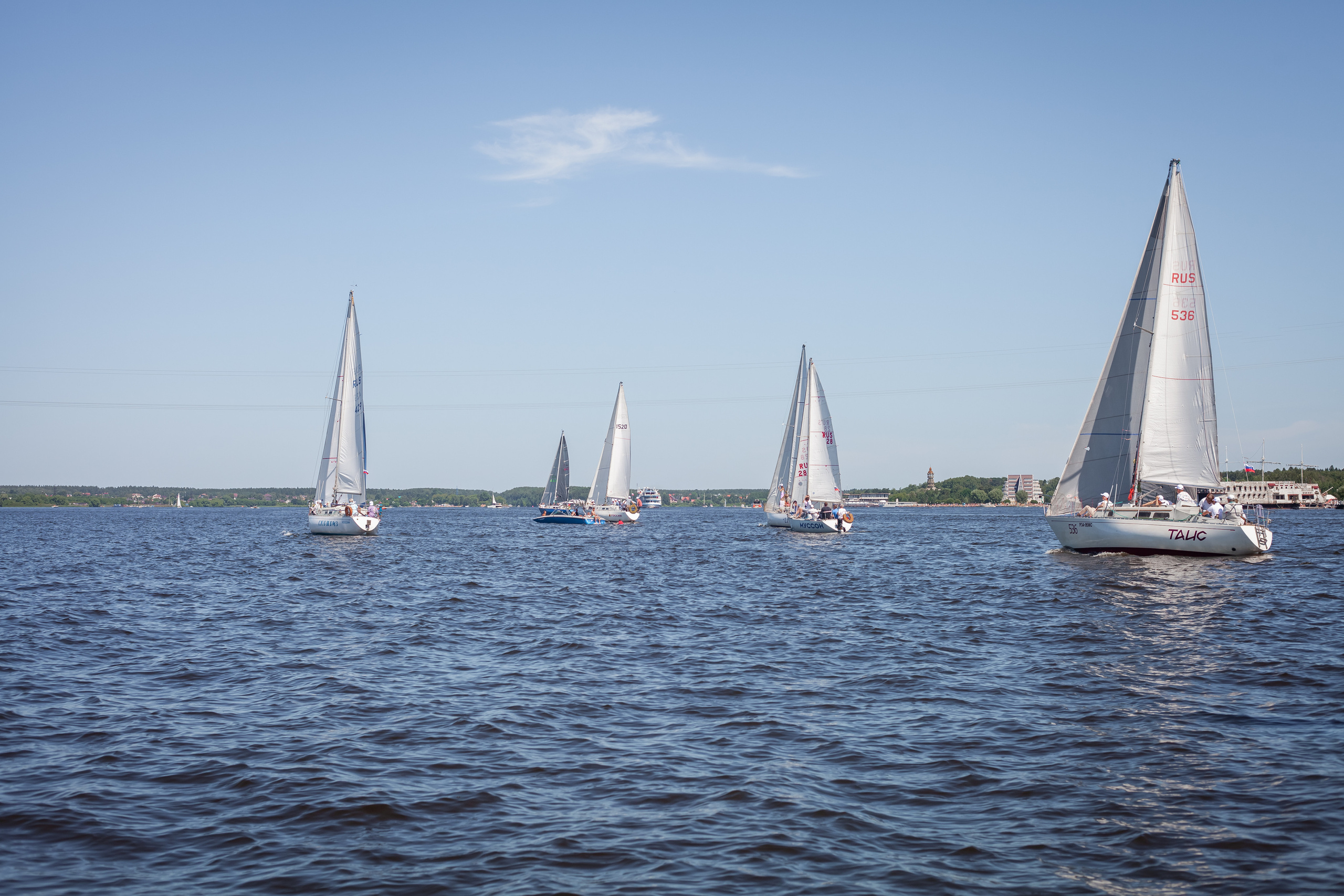 Регата. Семейный и детский фотограф в Москве Дорогова Екатерина