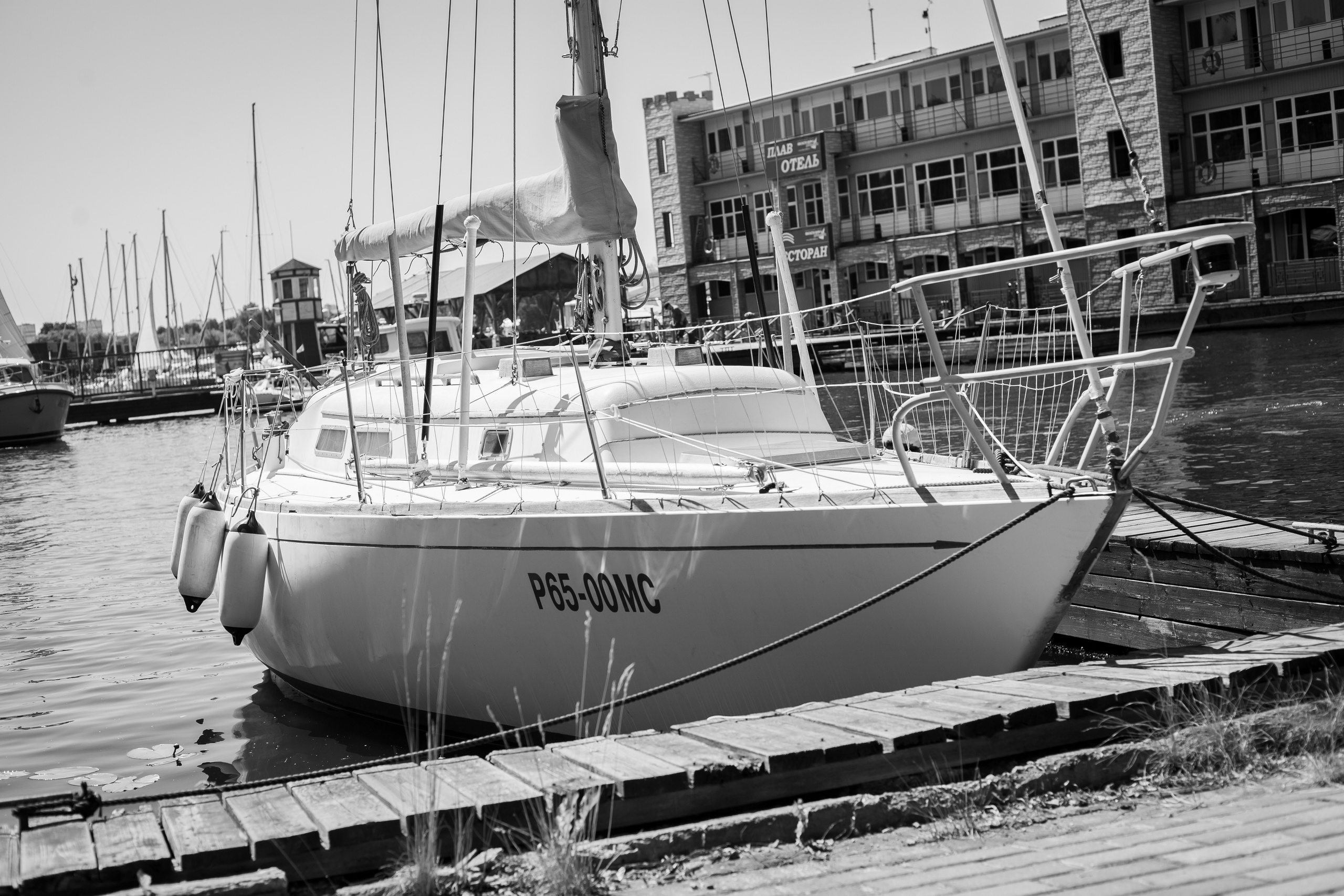 Регата. Семейный и детский фотограф в Москве Дорогова Екатерина