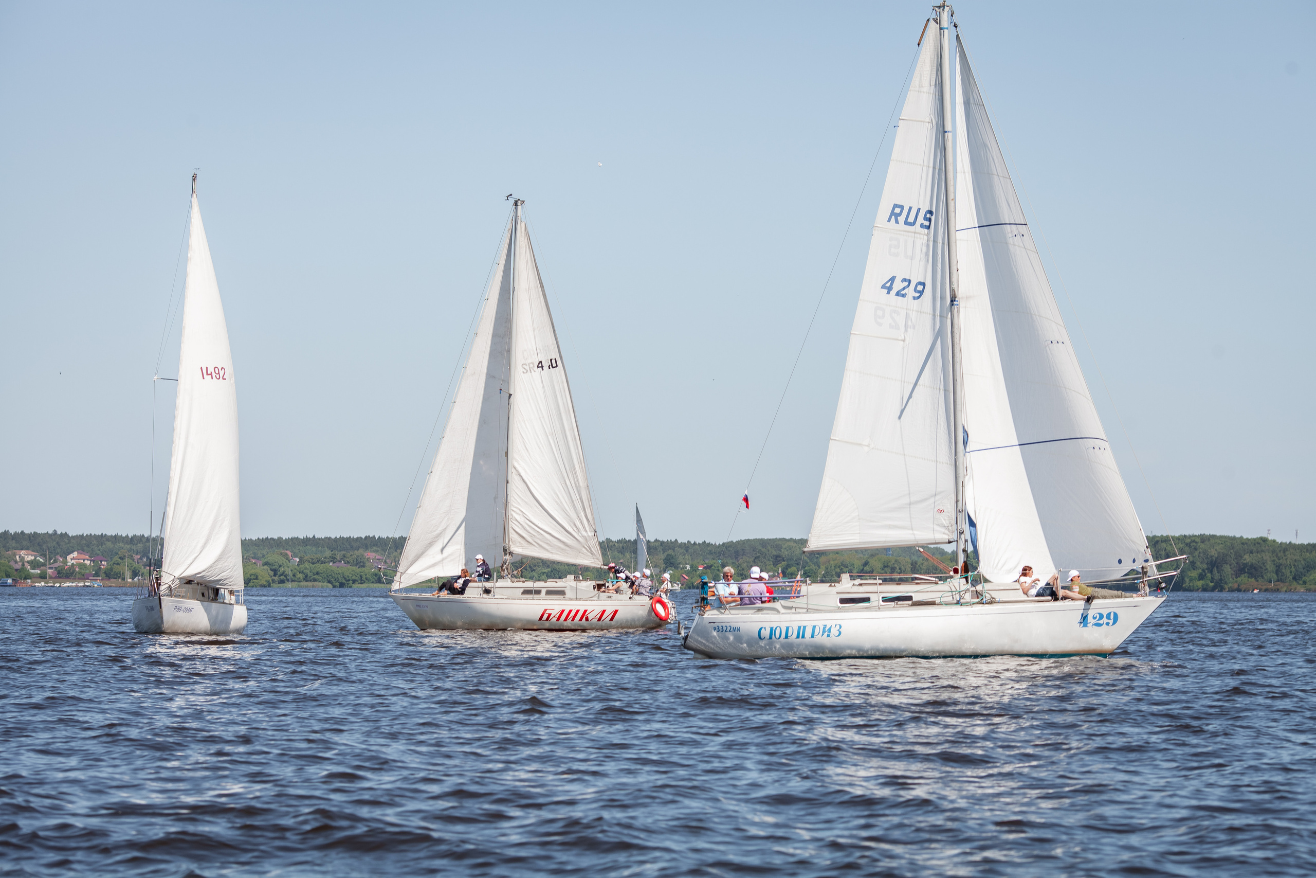 Регата. Семейный и детский фотограф в Москве Дорогова Екатерина