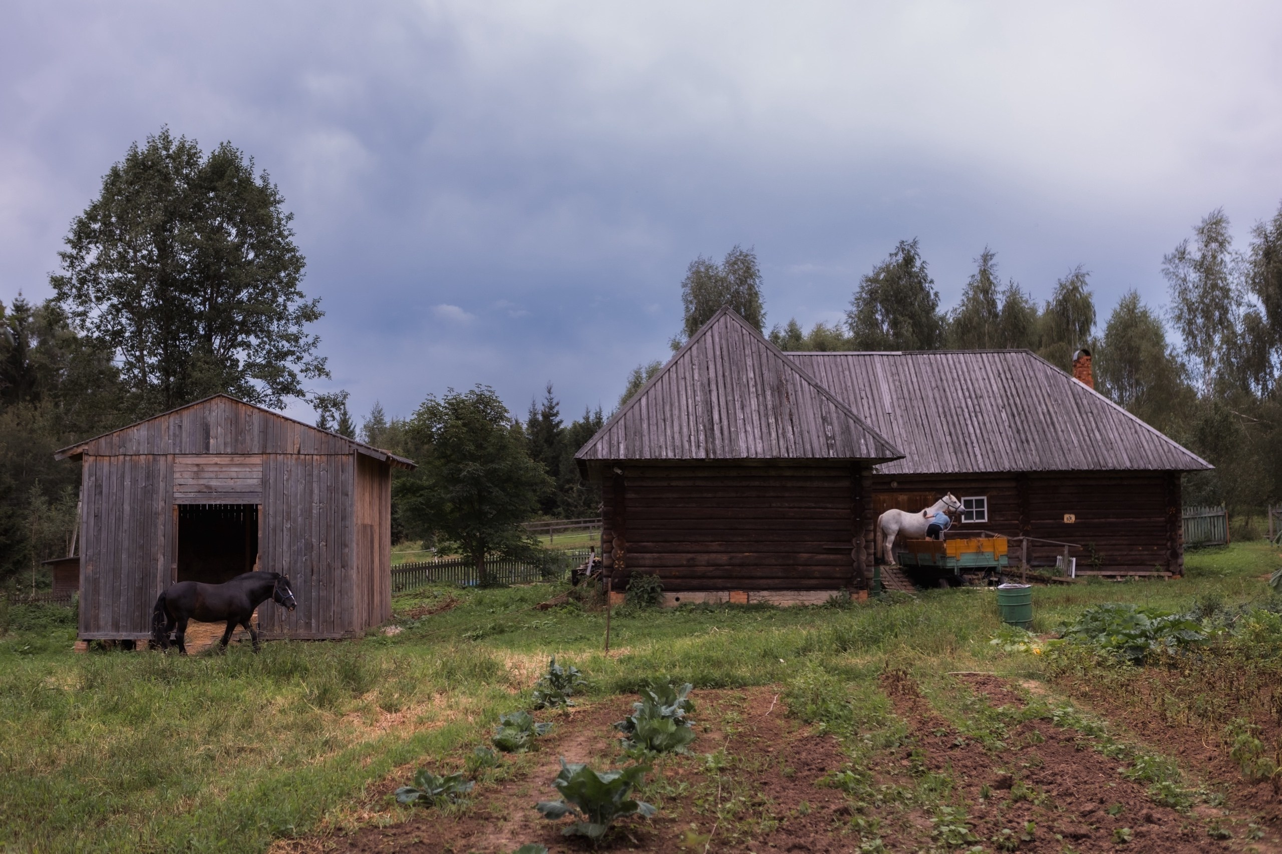 День свадьбы. Фотограф и видеограф Лашманов Павел