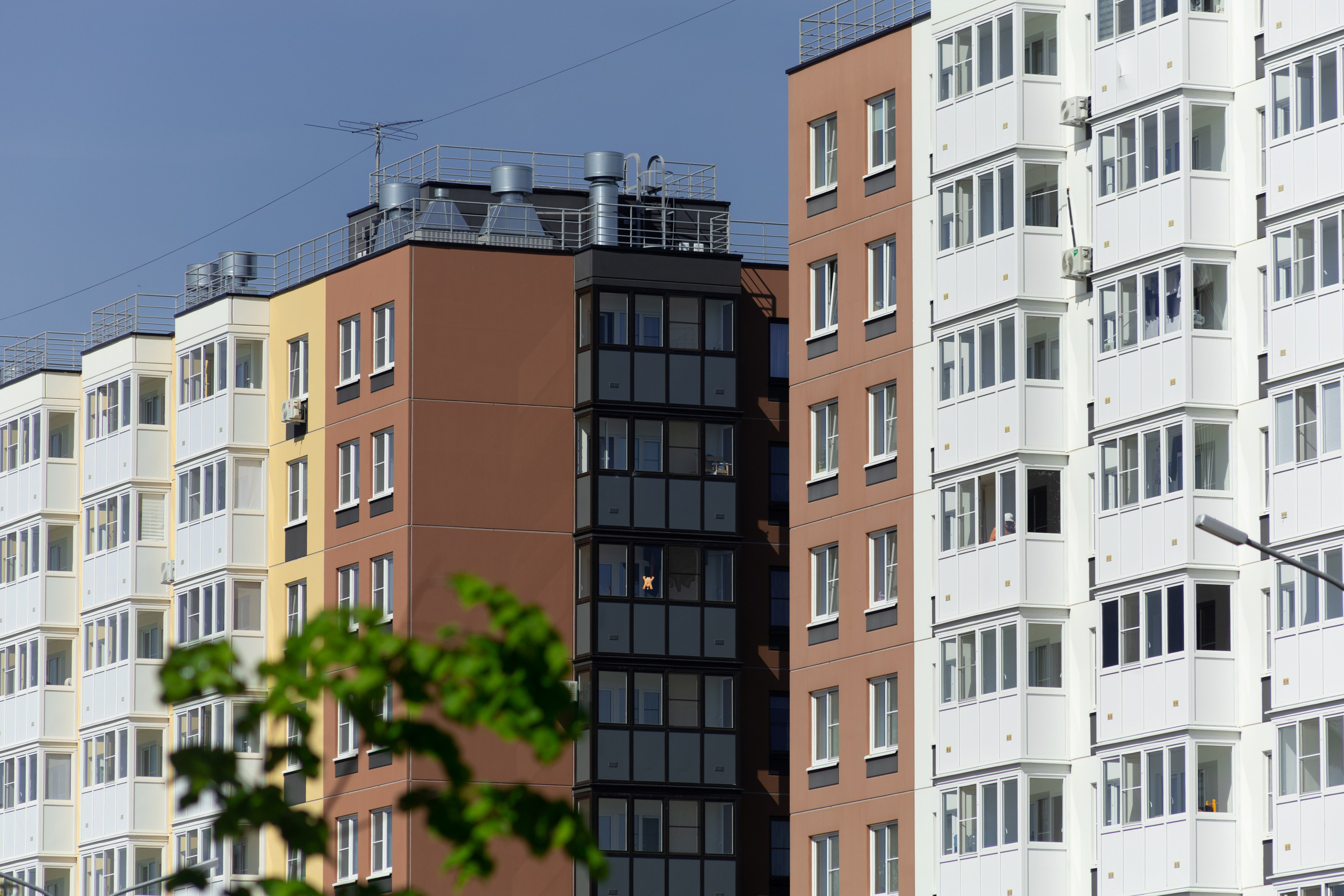 Торпедо. Фотограф Мурманск | Нижний Новгород • Анна Хижняк
