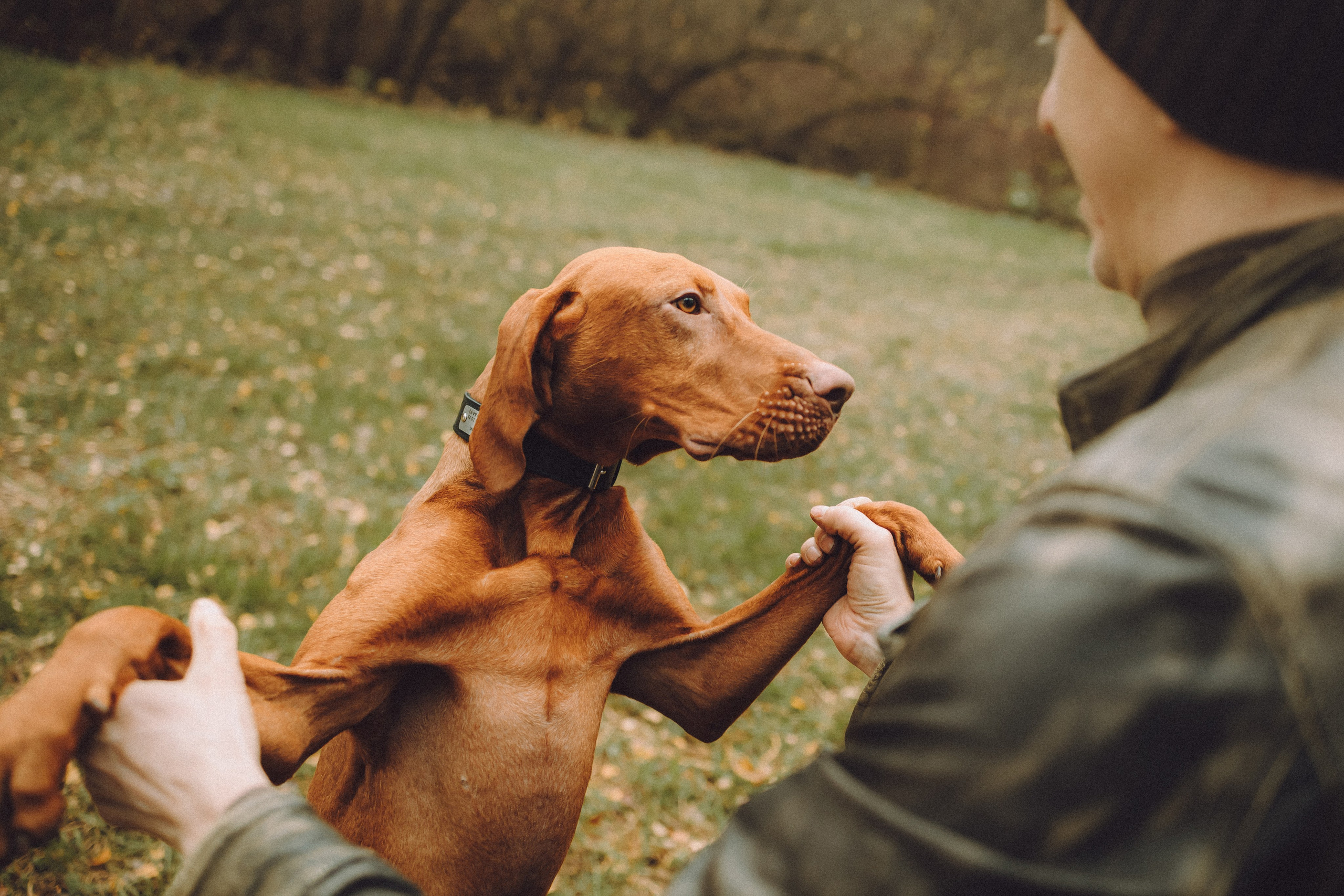 Дориан и его семья
