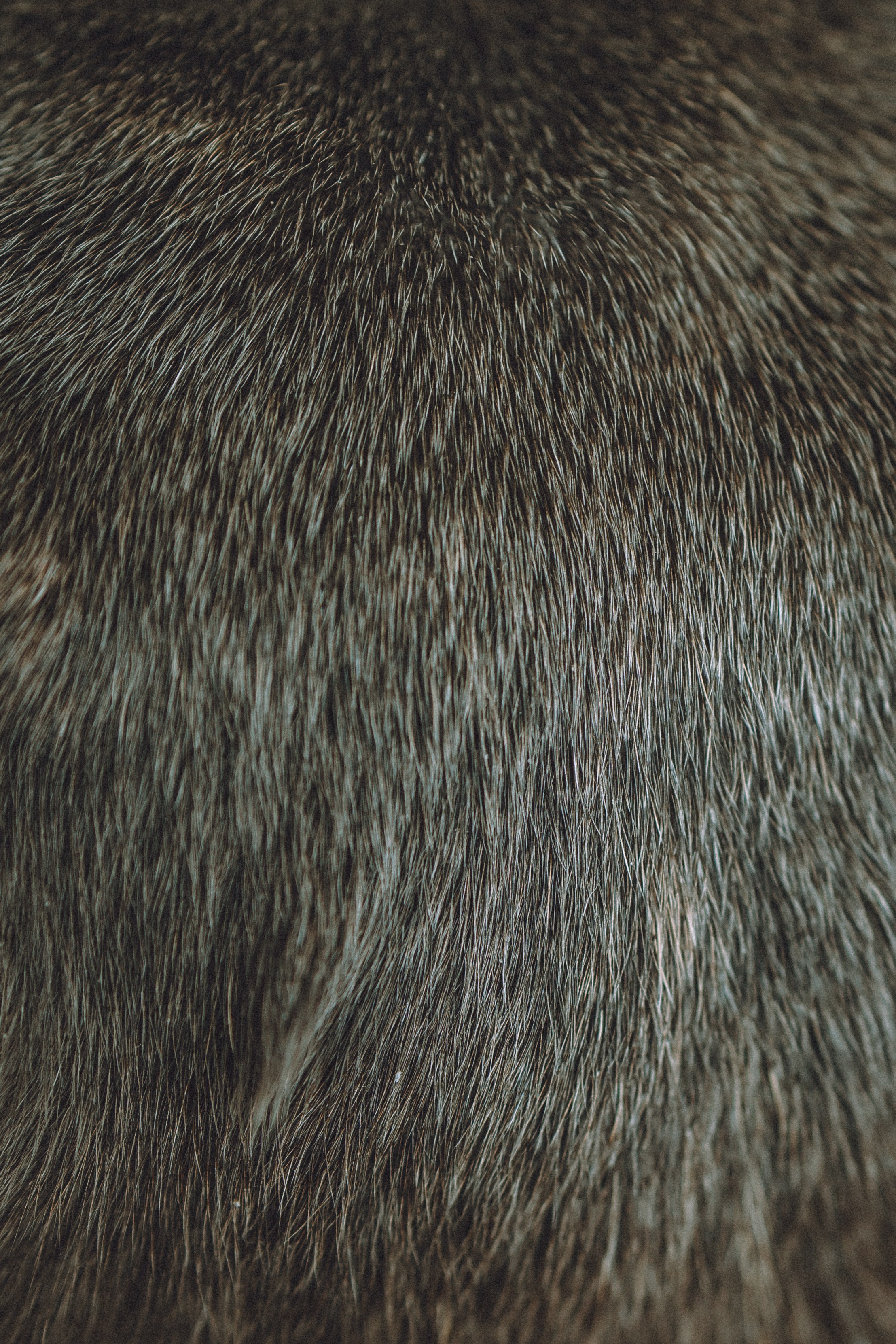 Юля, Вова и Моня