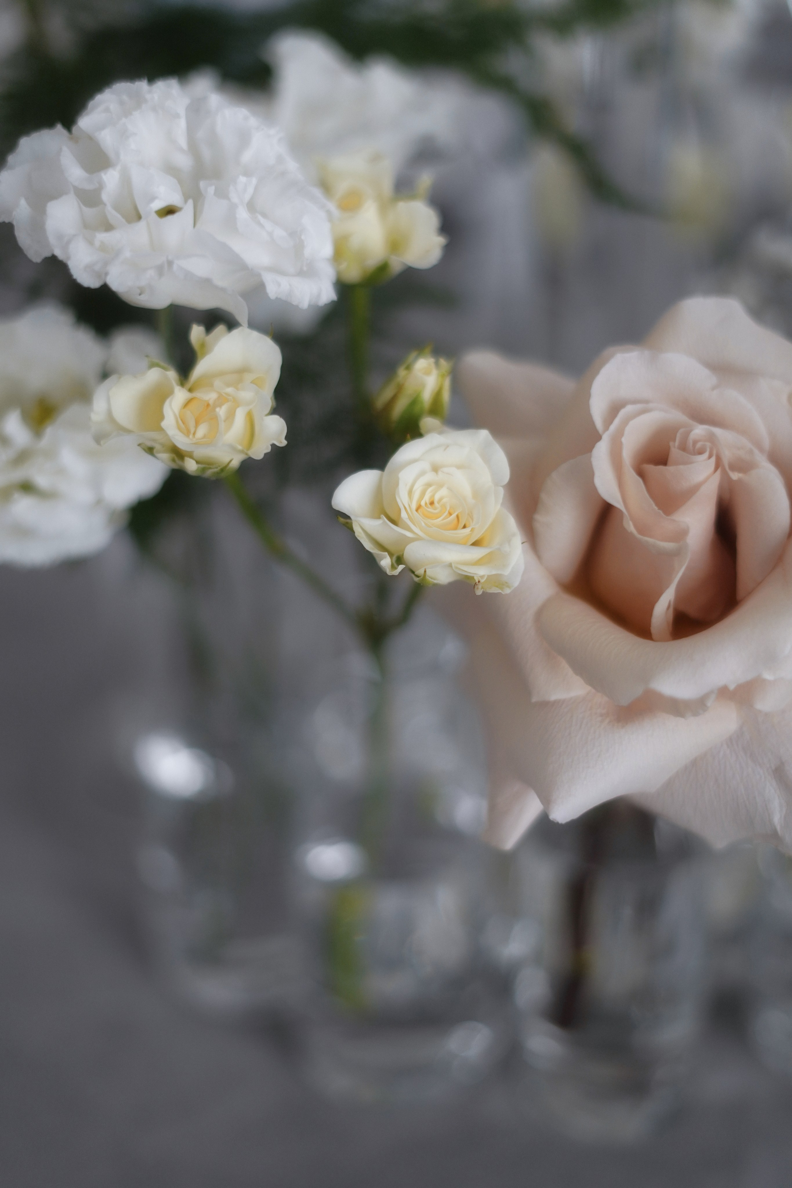 Дима и Настя. Фотограф Валерия Крахмалева