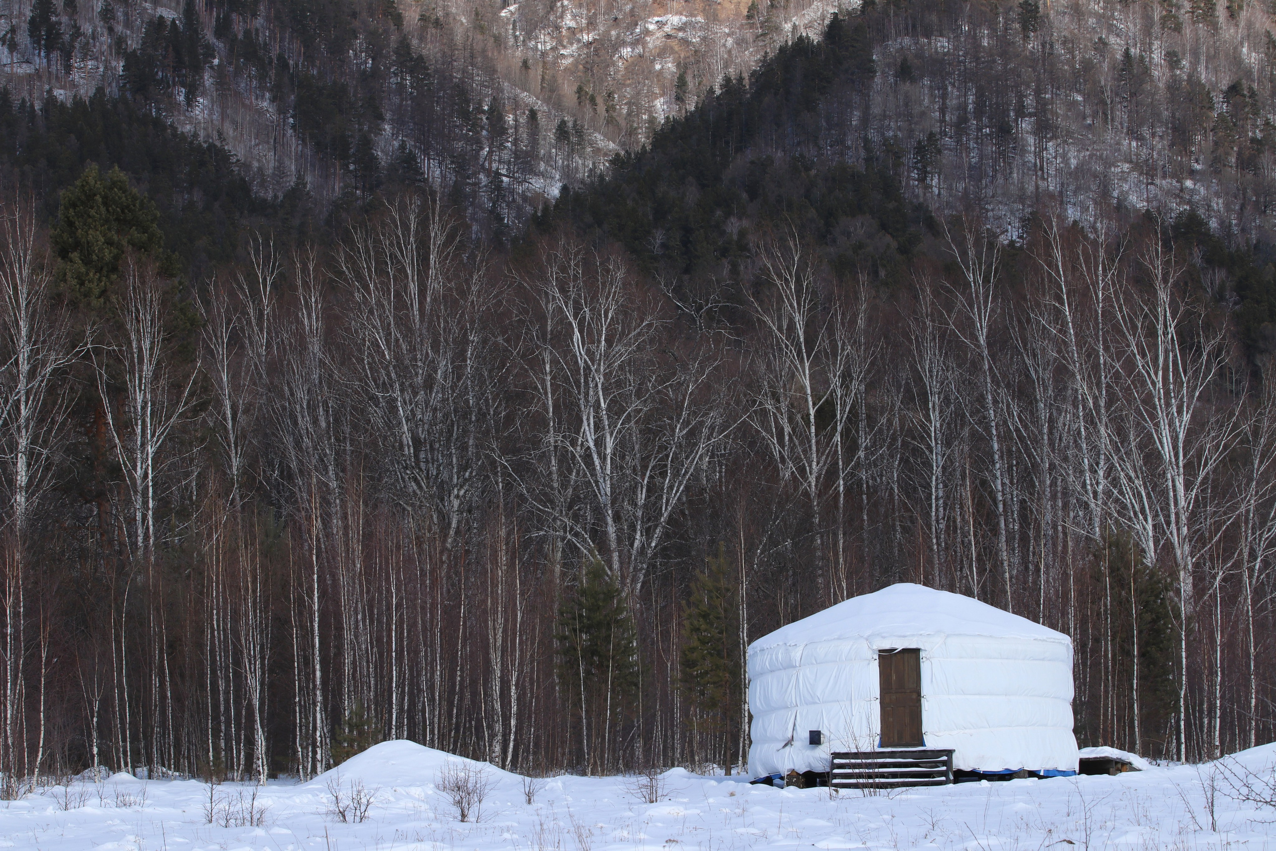 Аршан. Февраль 2025. Путешественник-фотограф из Санкт-Петербурга Татьяна Свистулина