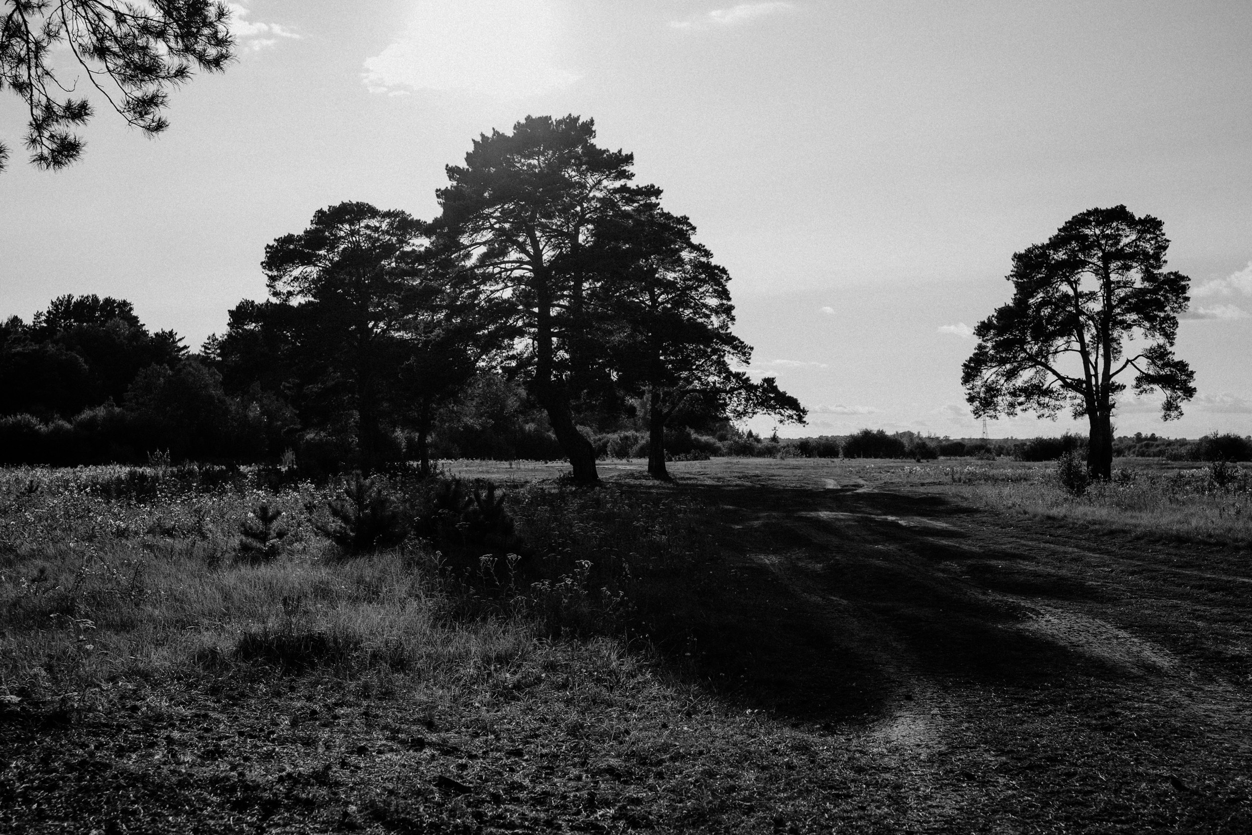 Екатерина. Фотограф Дарья Мустафина, Тюмень