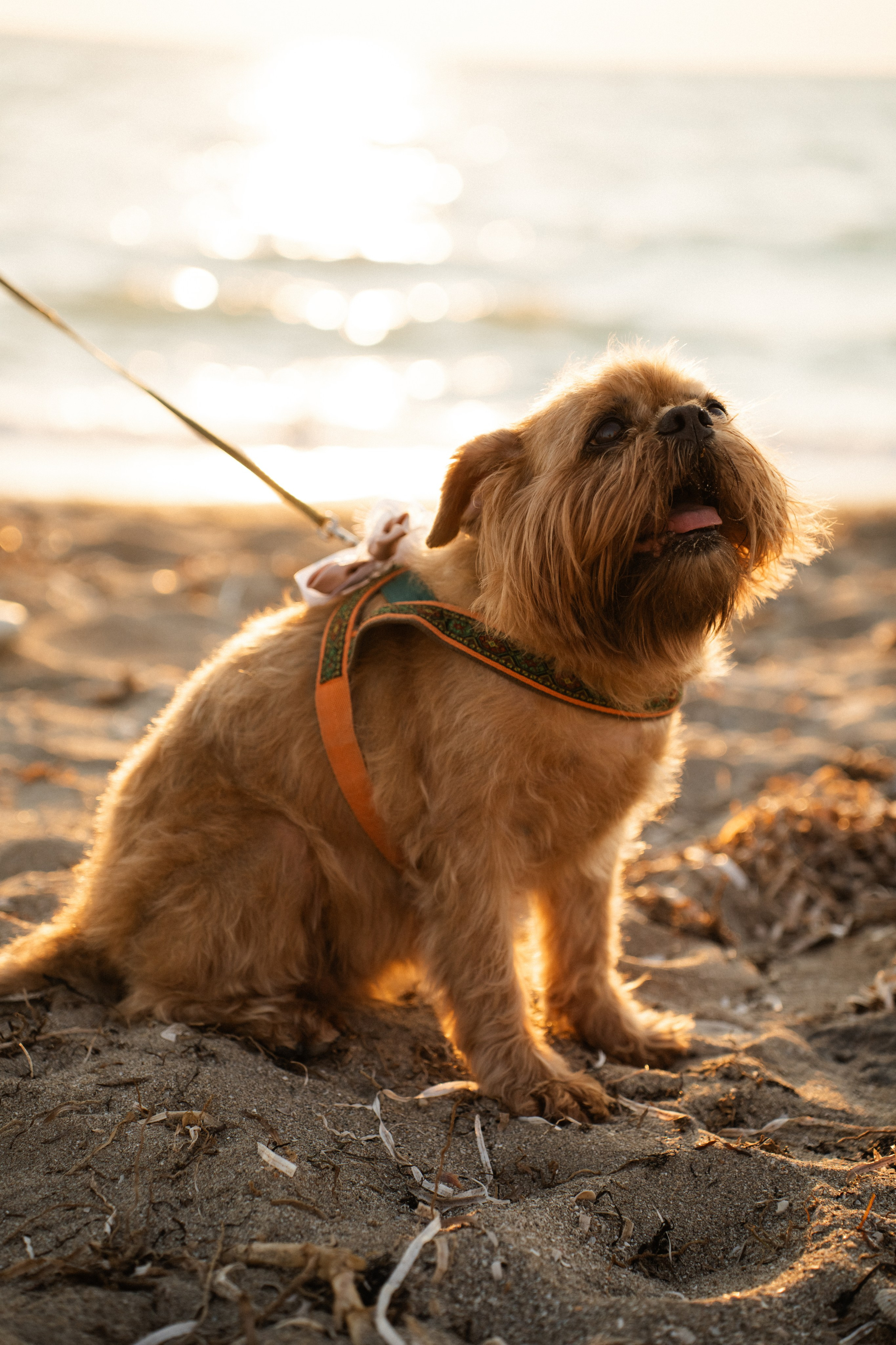 Z&A. Фотограф и Видеограф Севастополь Крым