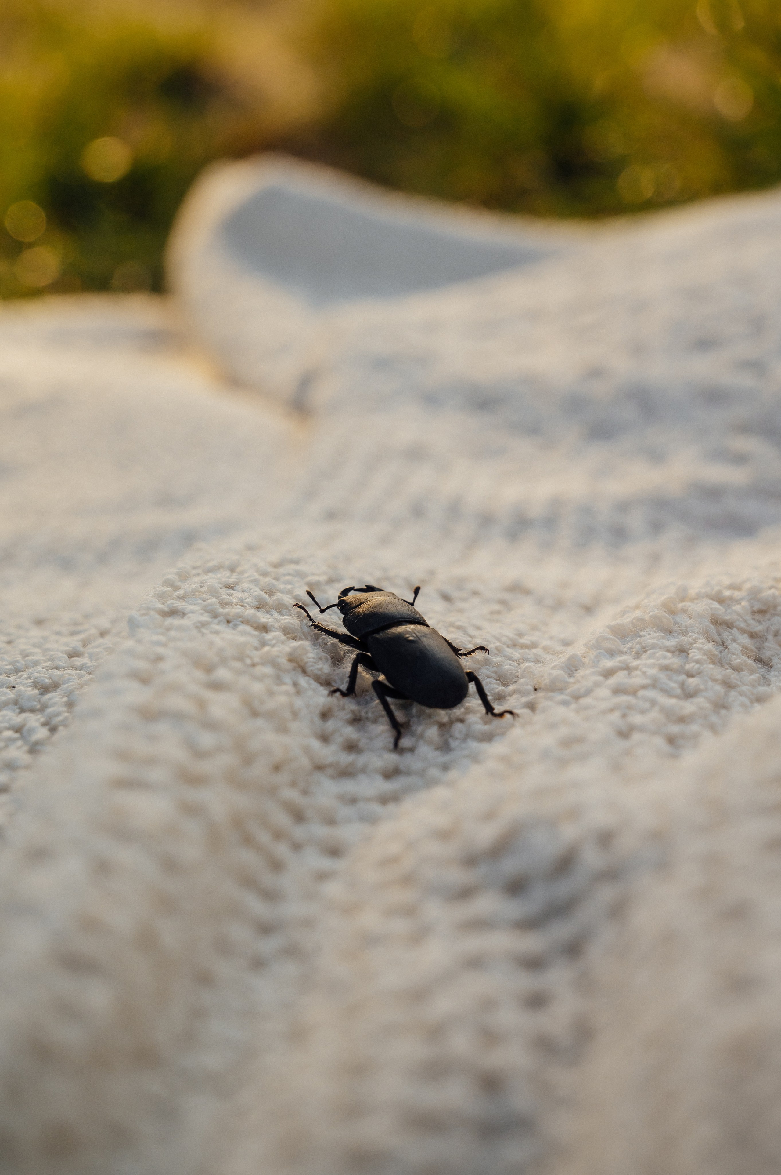 Семья Ливенцевы. Фотограф Мария Строгонова