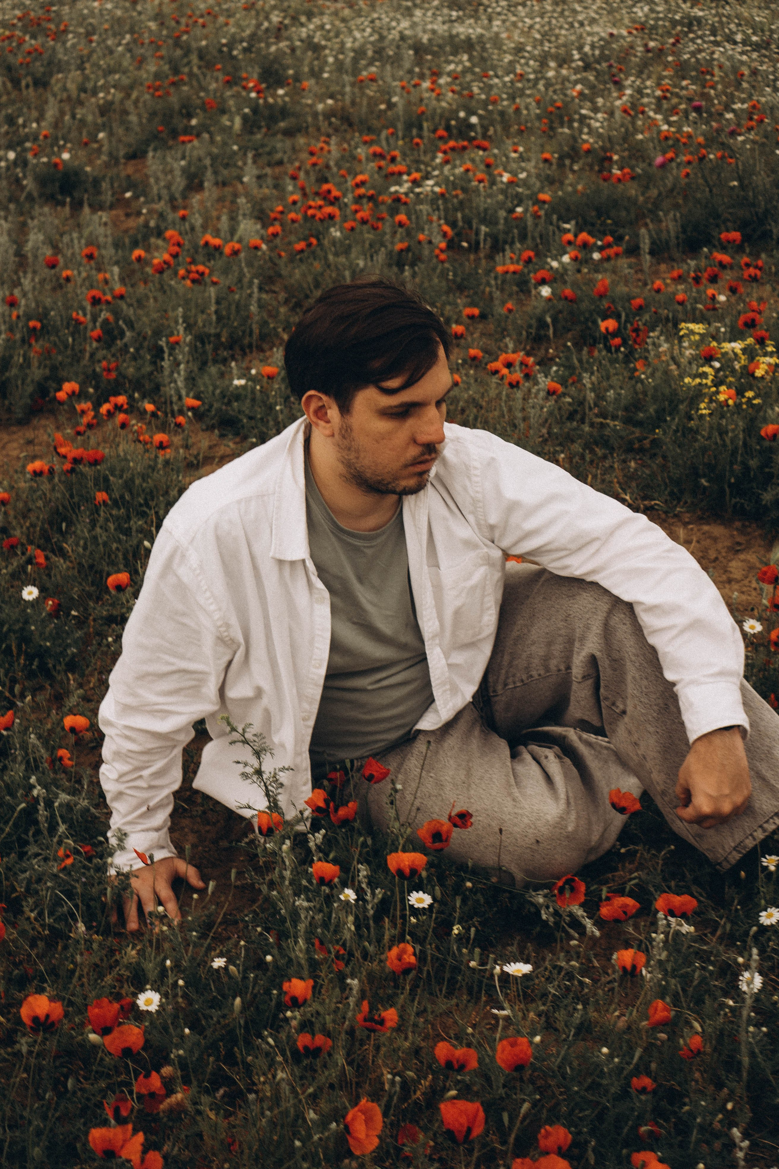 Маки. Профессиональный фотограф, Санкт-Петербург — Виктория Богомолова