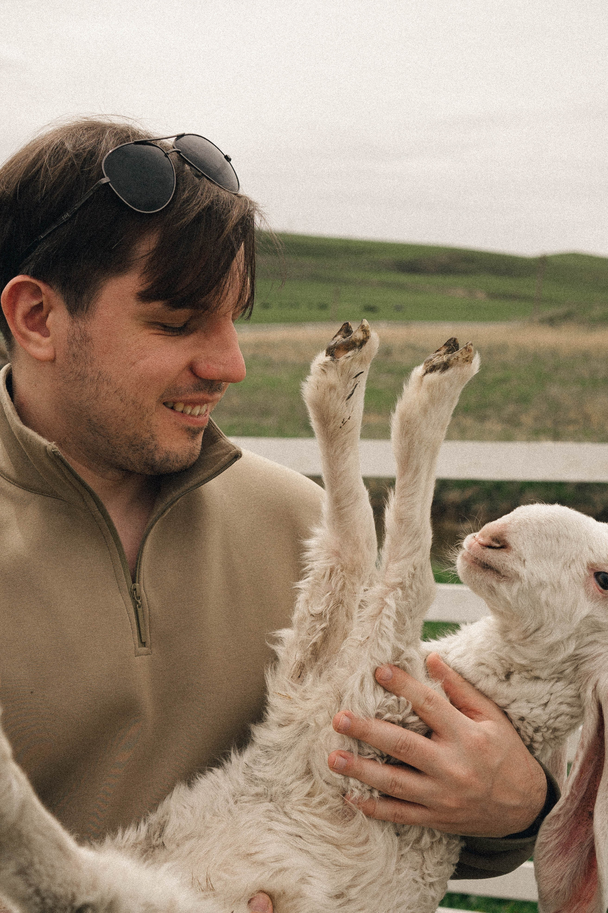 Ферма Альпак. Профессиональный фотограф, Санкт-Петербург — Виктория Богомолова
