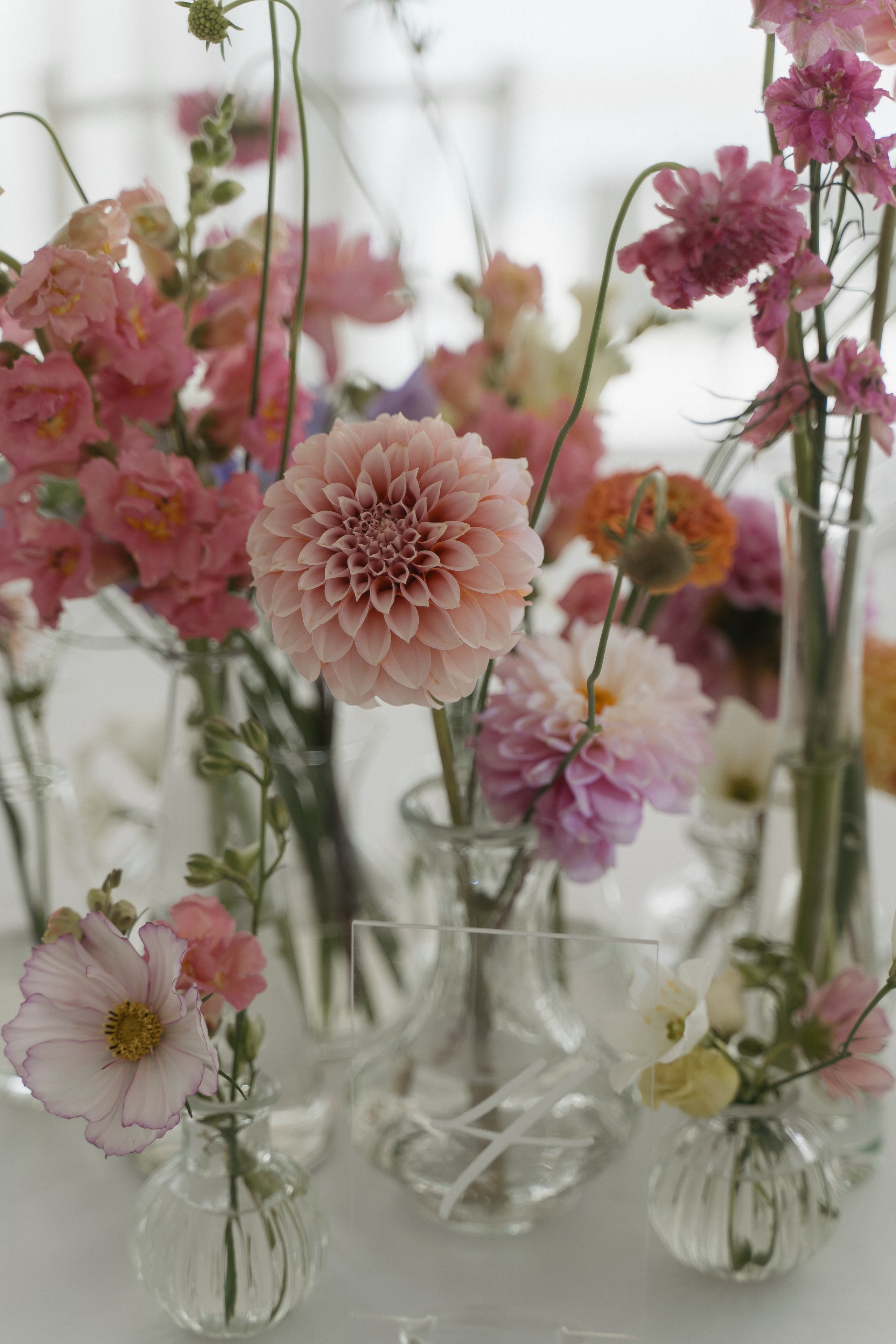 Ты мое будущее. Свадебный фотограф Москва Светлана Анисимова