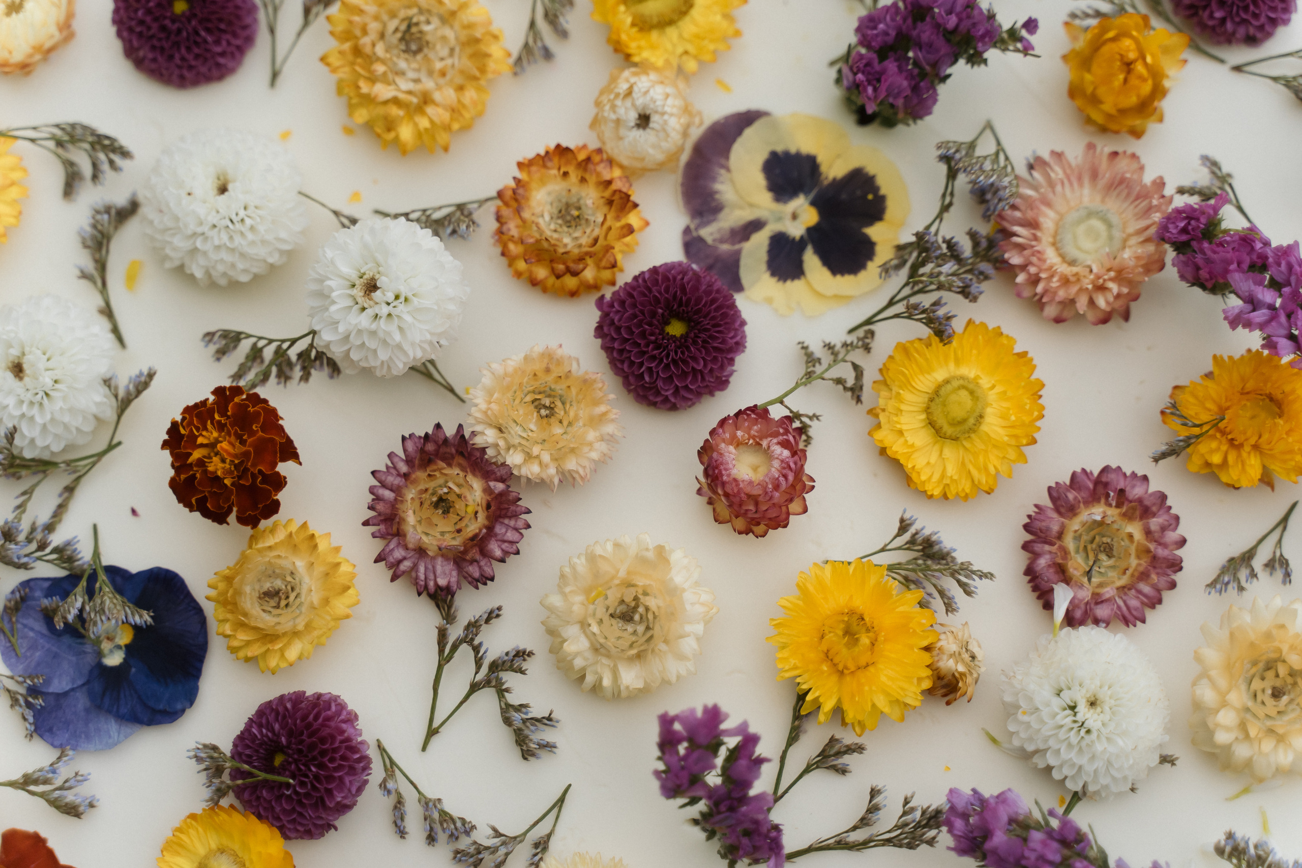 Ты мое будущее. Свадебный фотограф Москва Светлана Анисимова