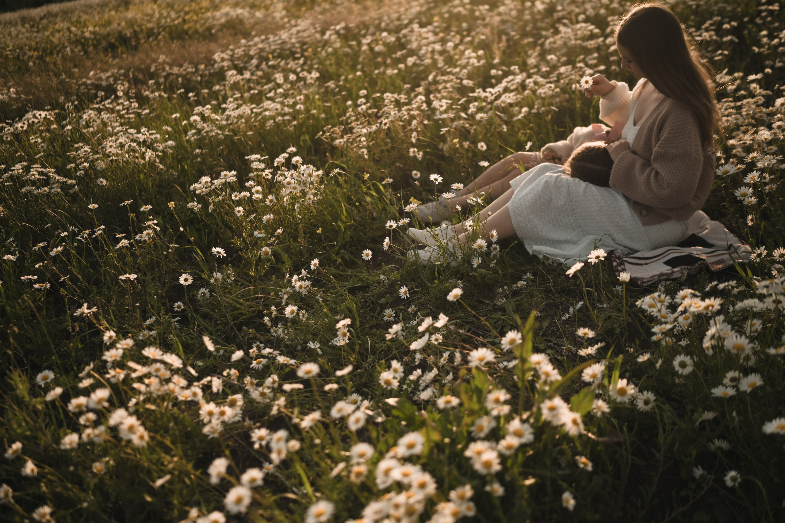 Семейная фотосессия в ромашковом поле в Крыму. Свадебный и семейный фотограф и видеограф, Крым, Москва, Санкт -Петербург