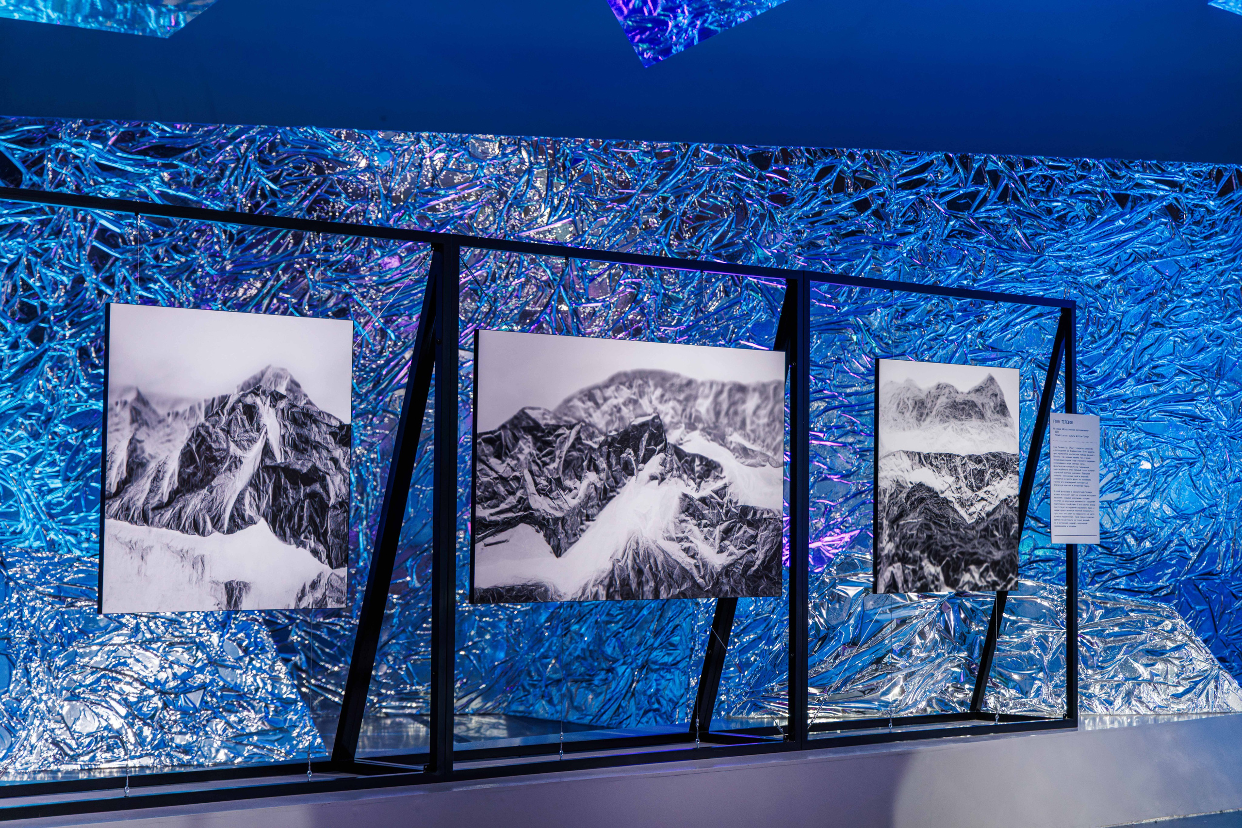 Лед. Жизнь — познавательно-развлекательная выставка. Фотограф Балаев Михаил