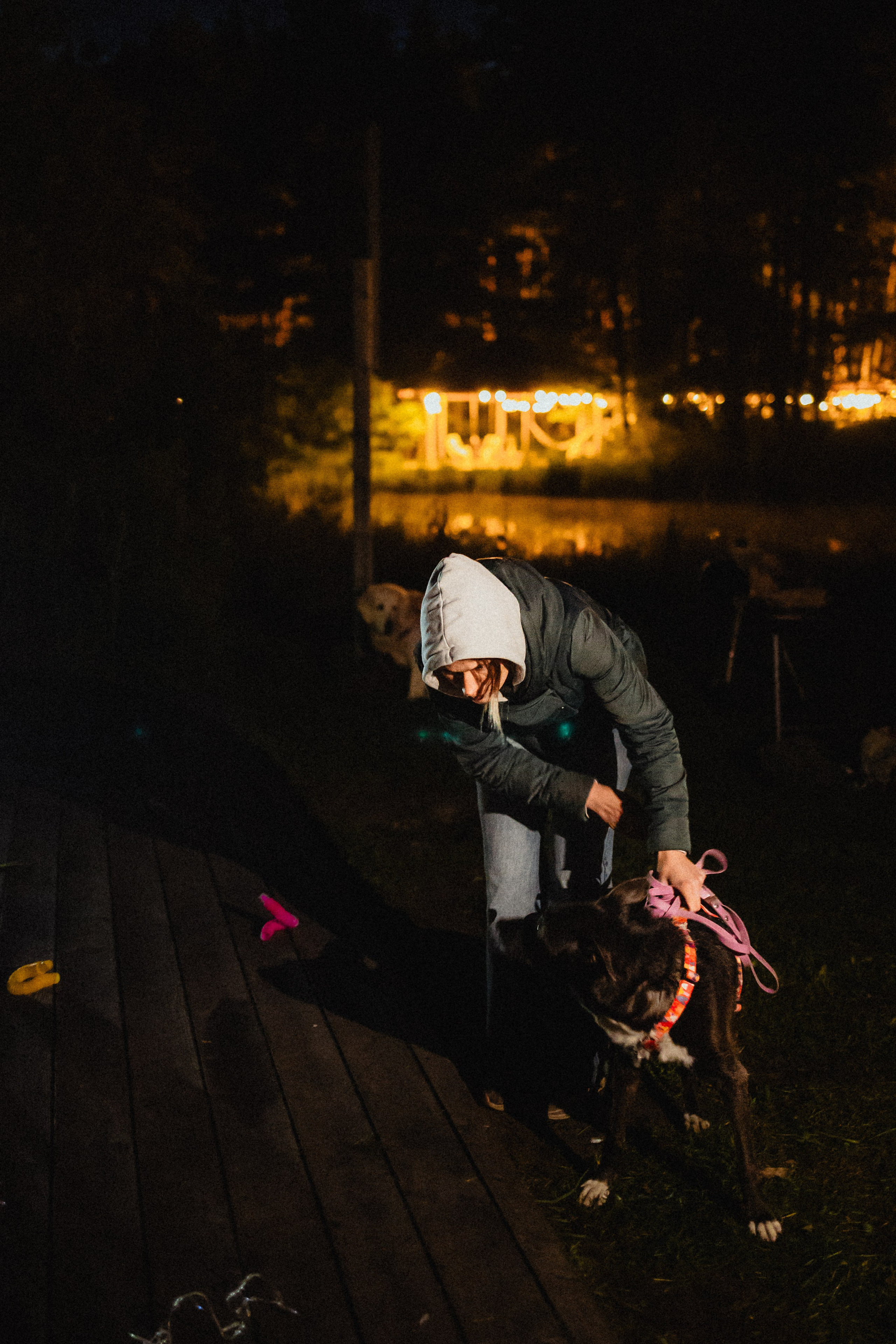 Выездной дог-тренинг от школы «Шерсть имею»