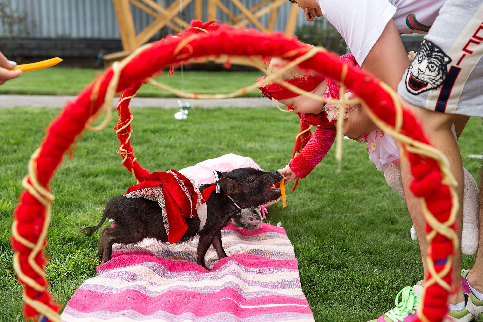 Детские праздники и дни рождения. Фотограф в Москве Валерий Боцман