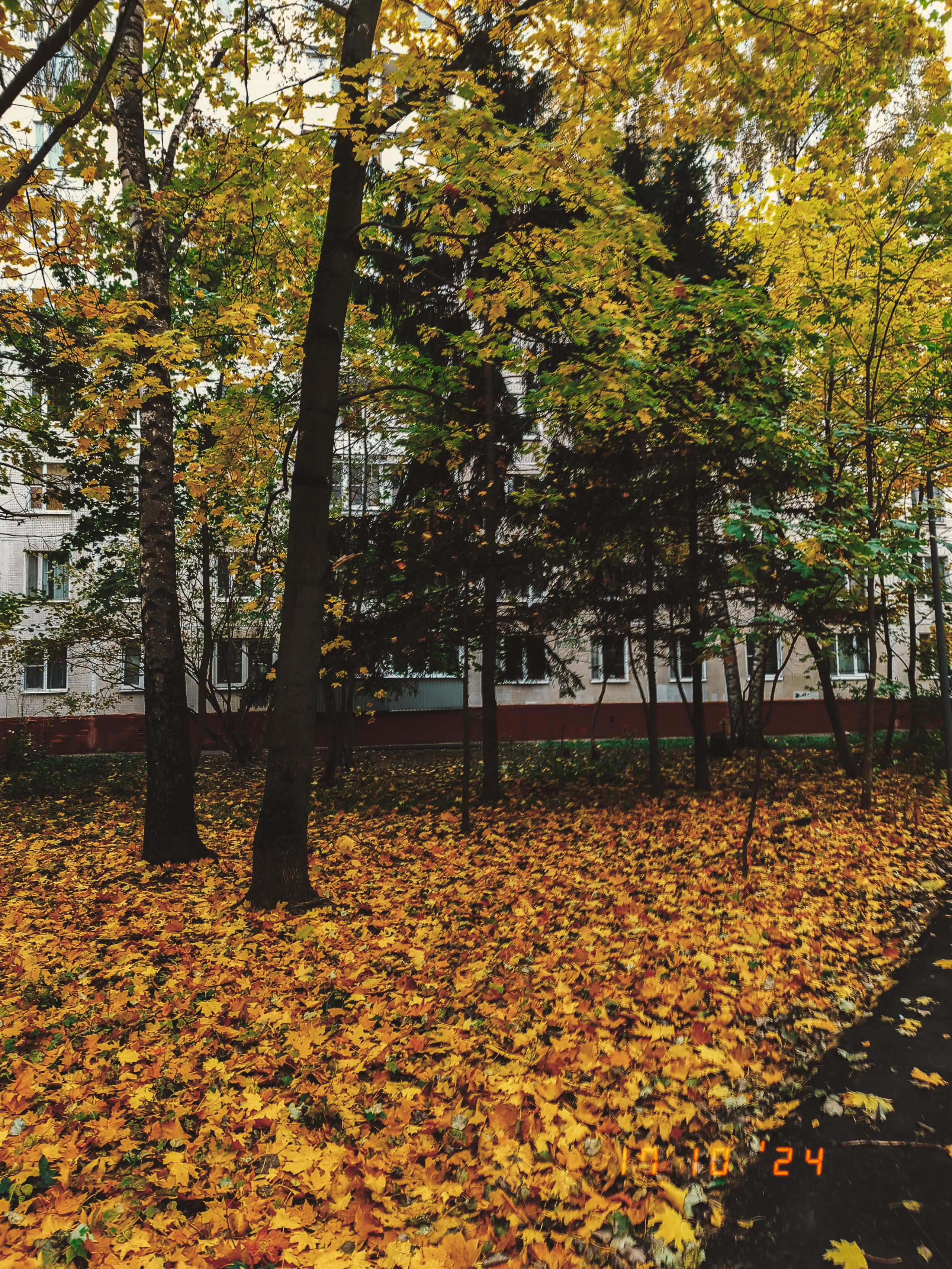 Камера телефон iphone camera. •fpsmax• фотограф-ретушер