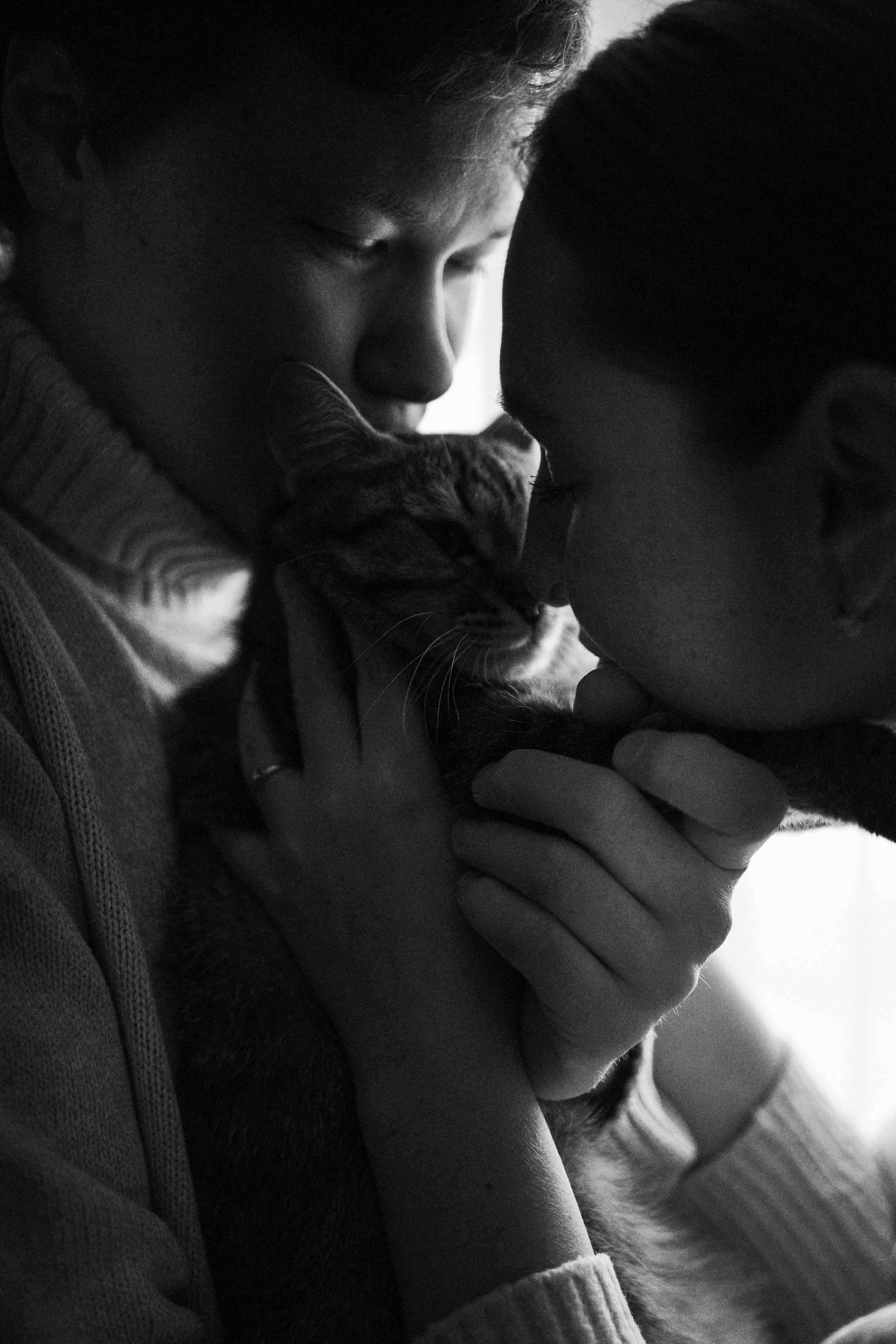 Мася и ее семья. Фотограф — Анималист | Санкт-Петербург