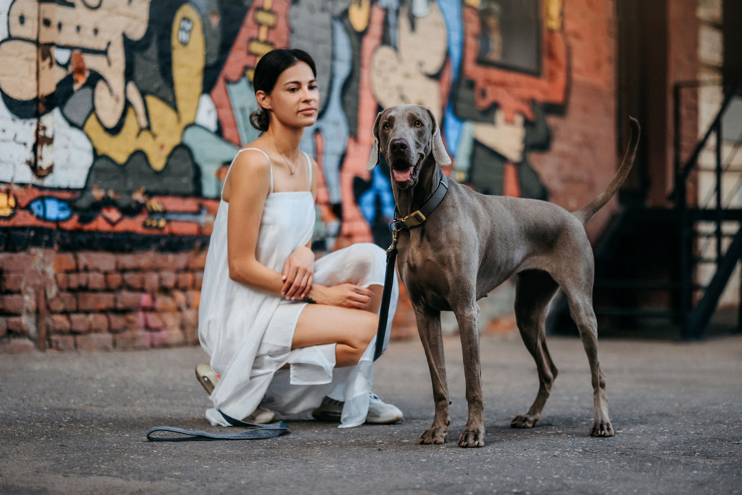 Соня и Майли. Фотограф-анималист Елена Радченко, Москва
