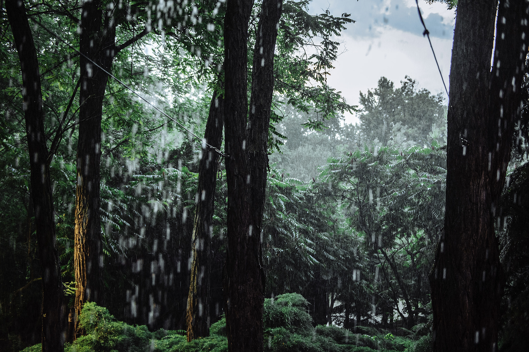 Сейчас она скажет ему ДА. Свадебный коммерческий фотограф Ростов-на-Дону, Москва
