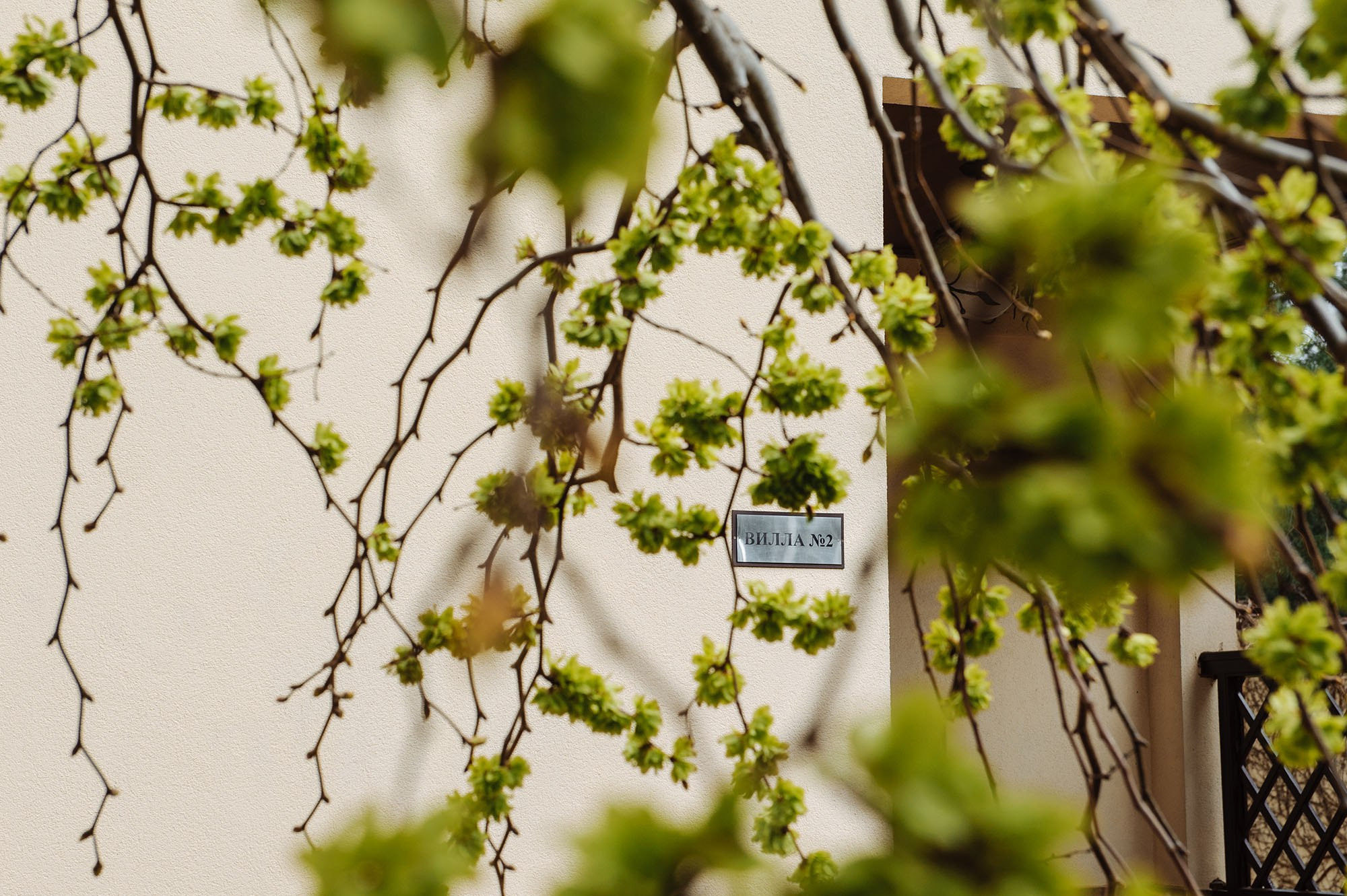 Такой большой и такой высокий. Свадебный коммерческий фотограф Ростов-на-Дону, Москва