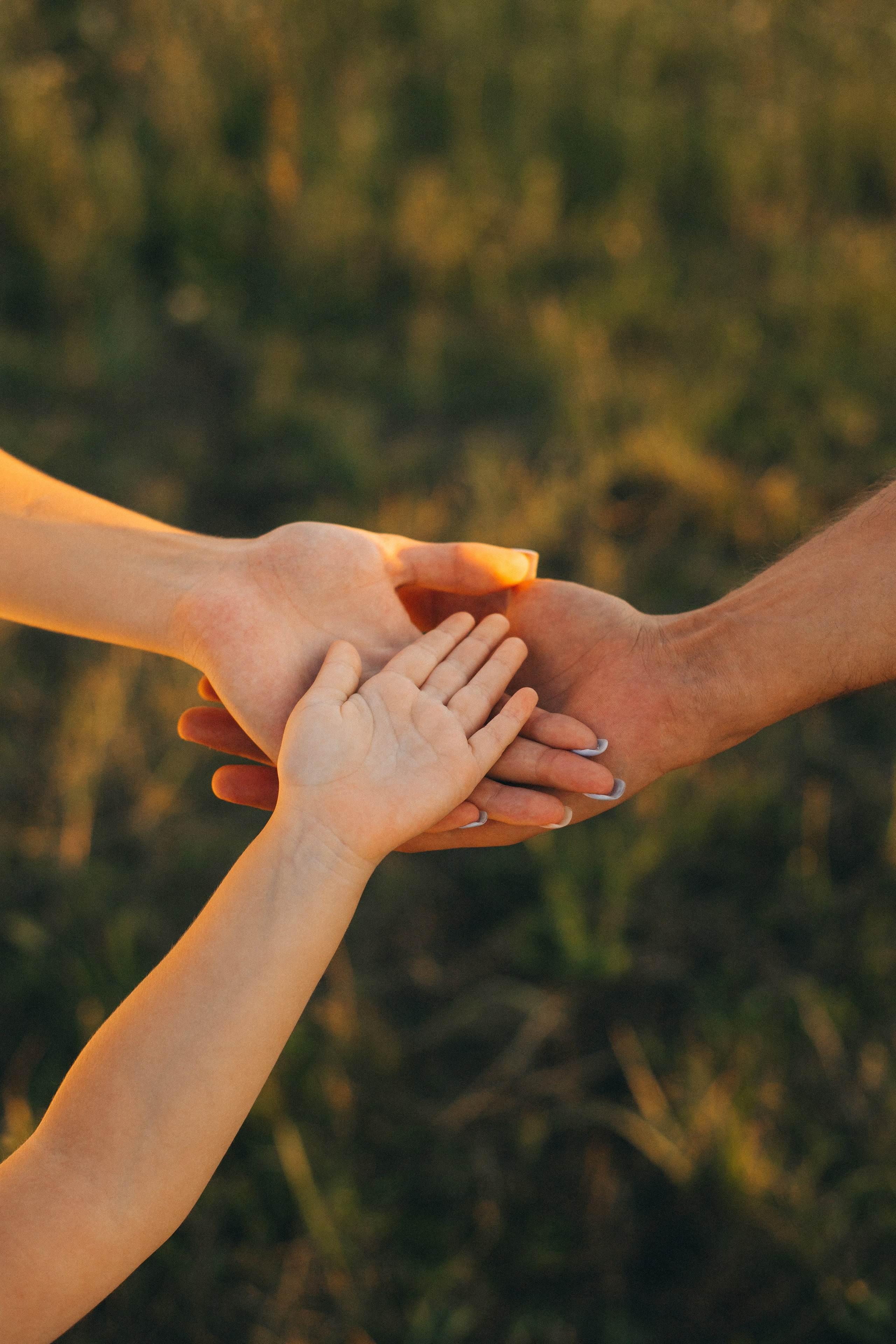 Family 2.0. Портфолио