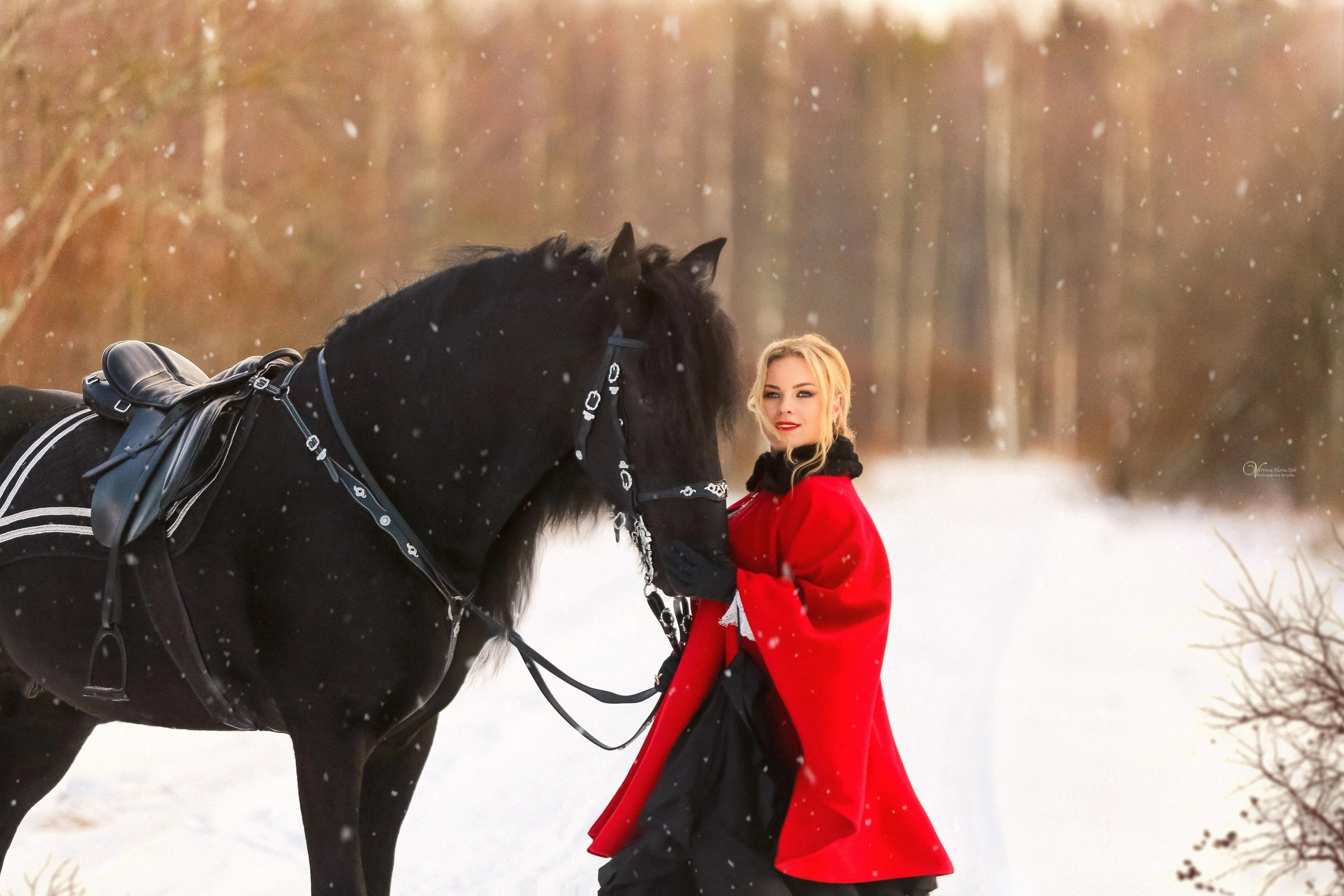 Фотосессии с лошадьми зимой. Фотограф женский и мужской портрет Санкт-Петербург