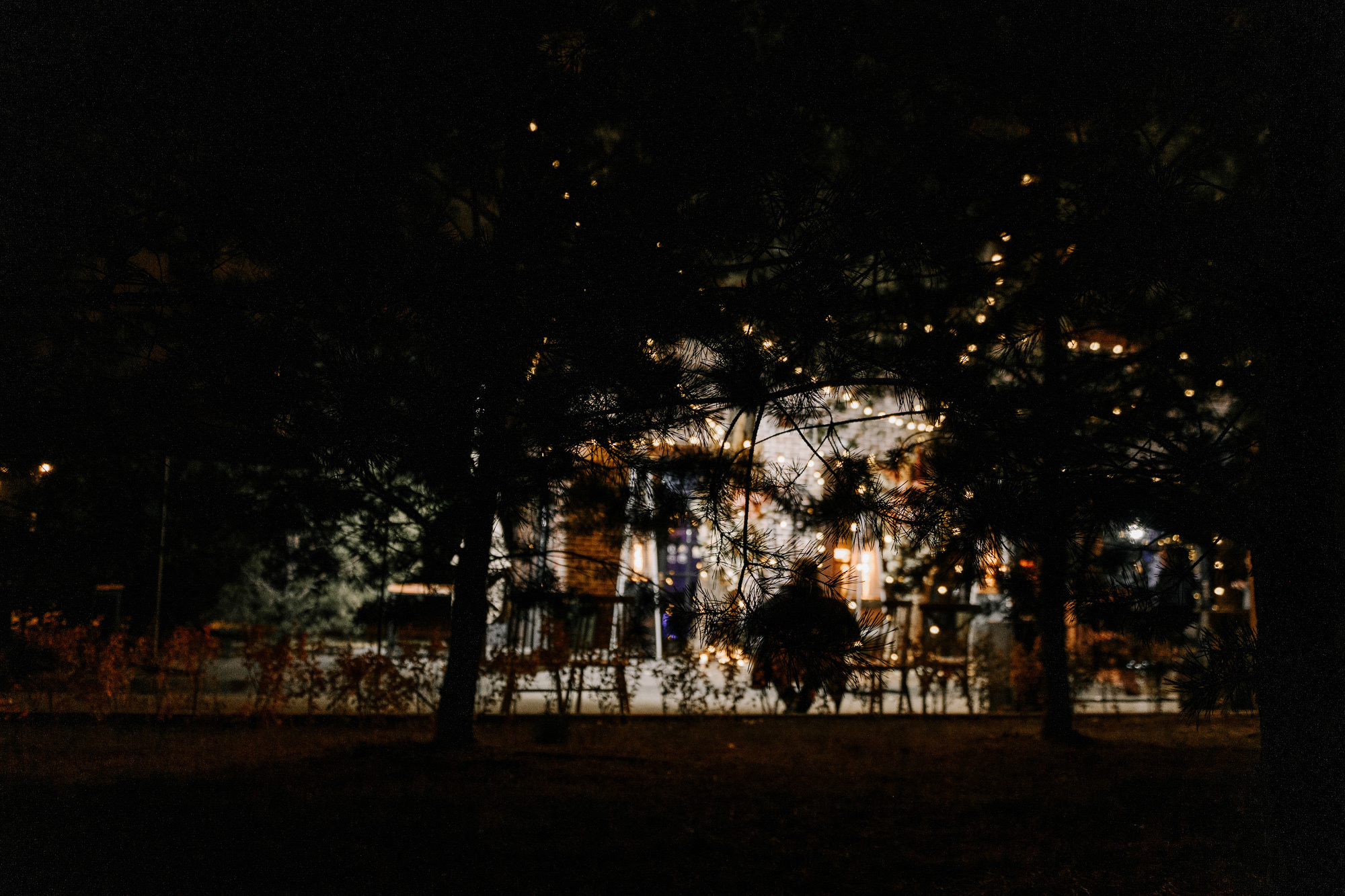 Young and free. Алина Посторонка