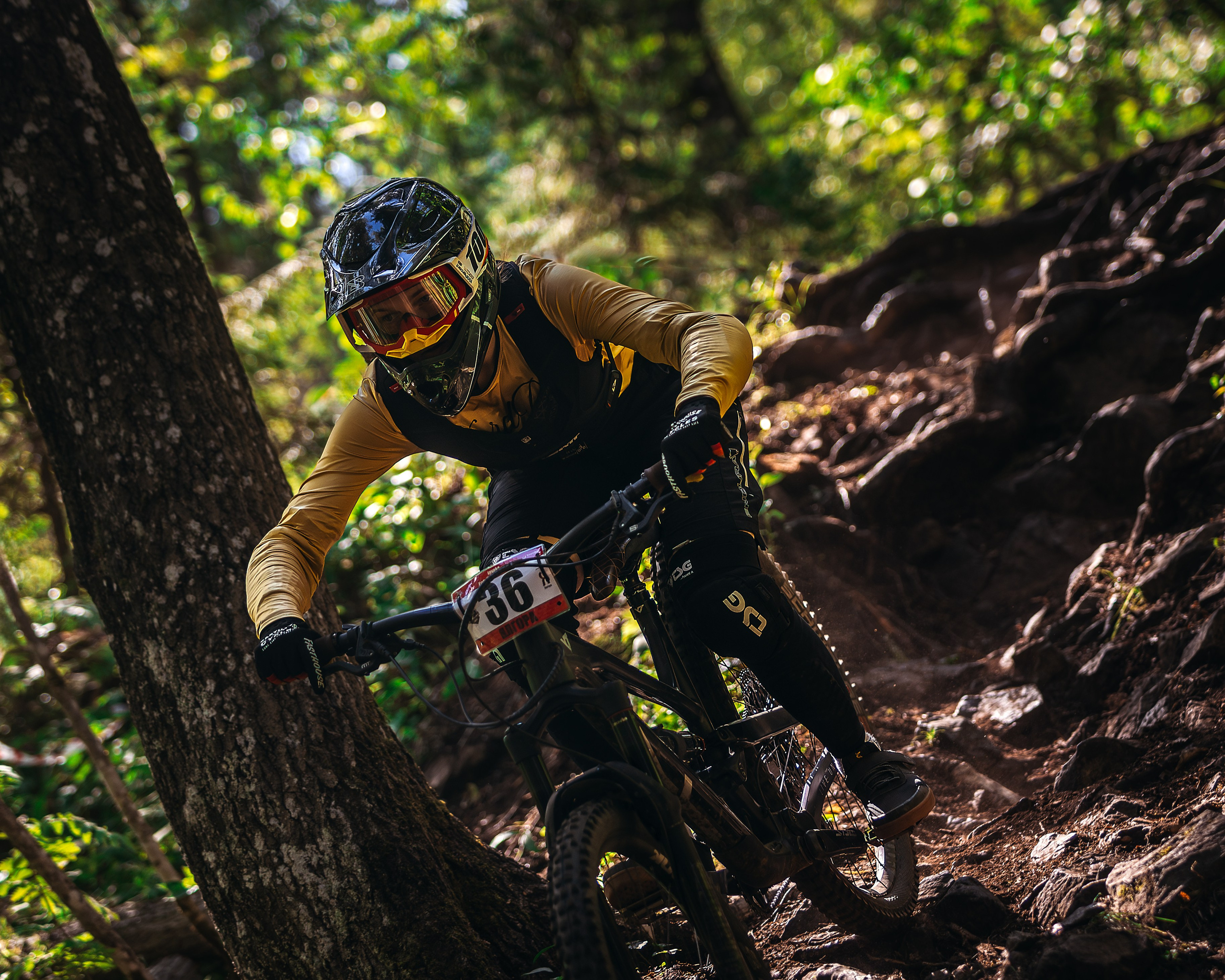 Гонка Ялгора. Фотограф анималист Никита Натальный