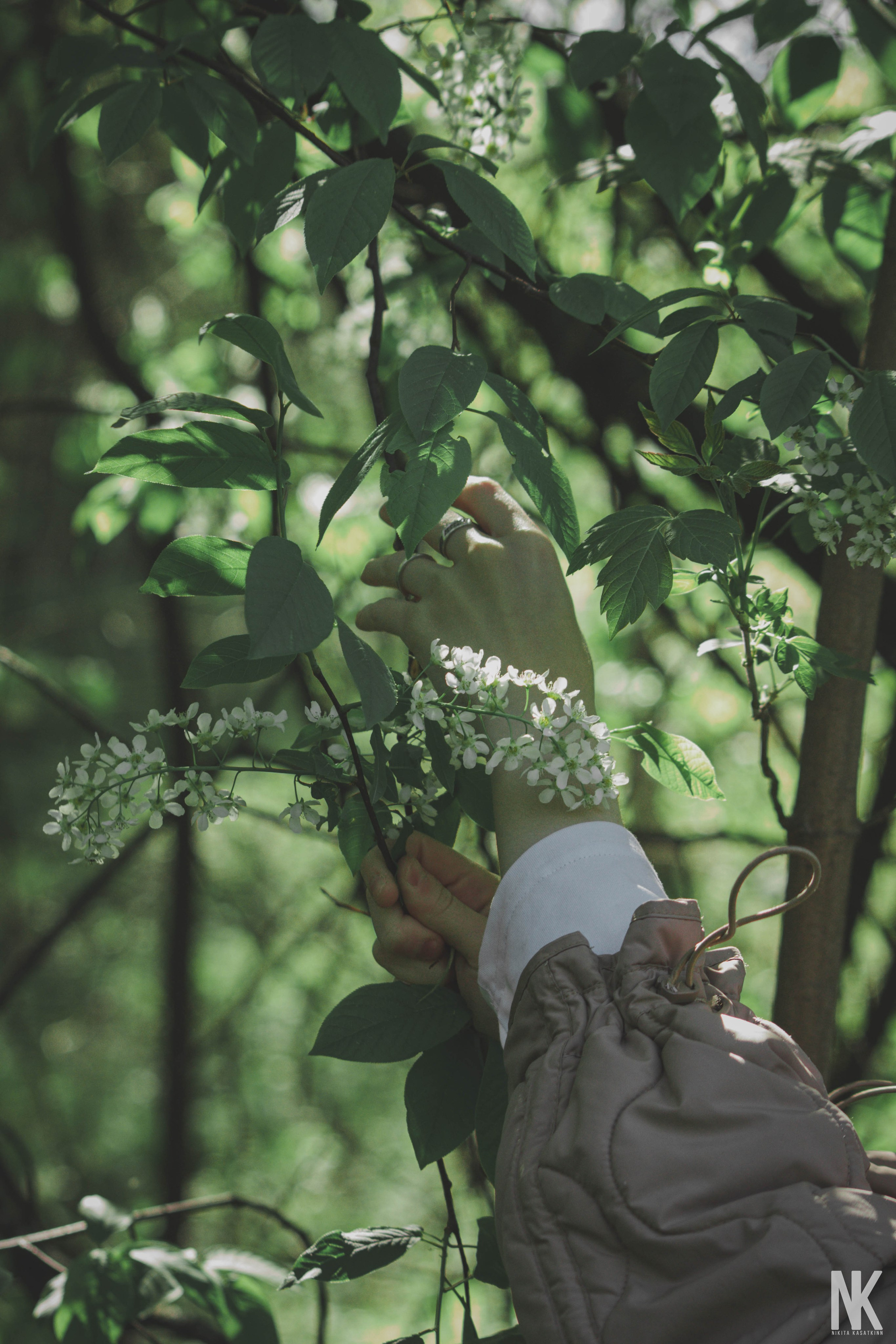 Саша. Фотосессия в лесу. Касаткин Никита. Фотограф