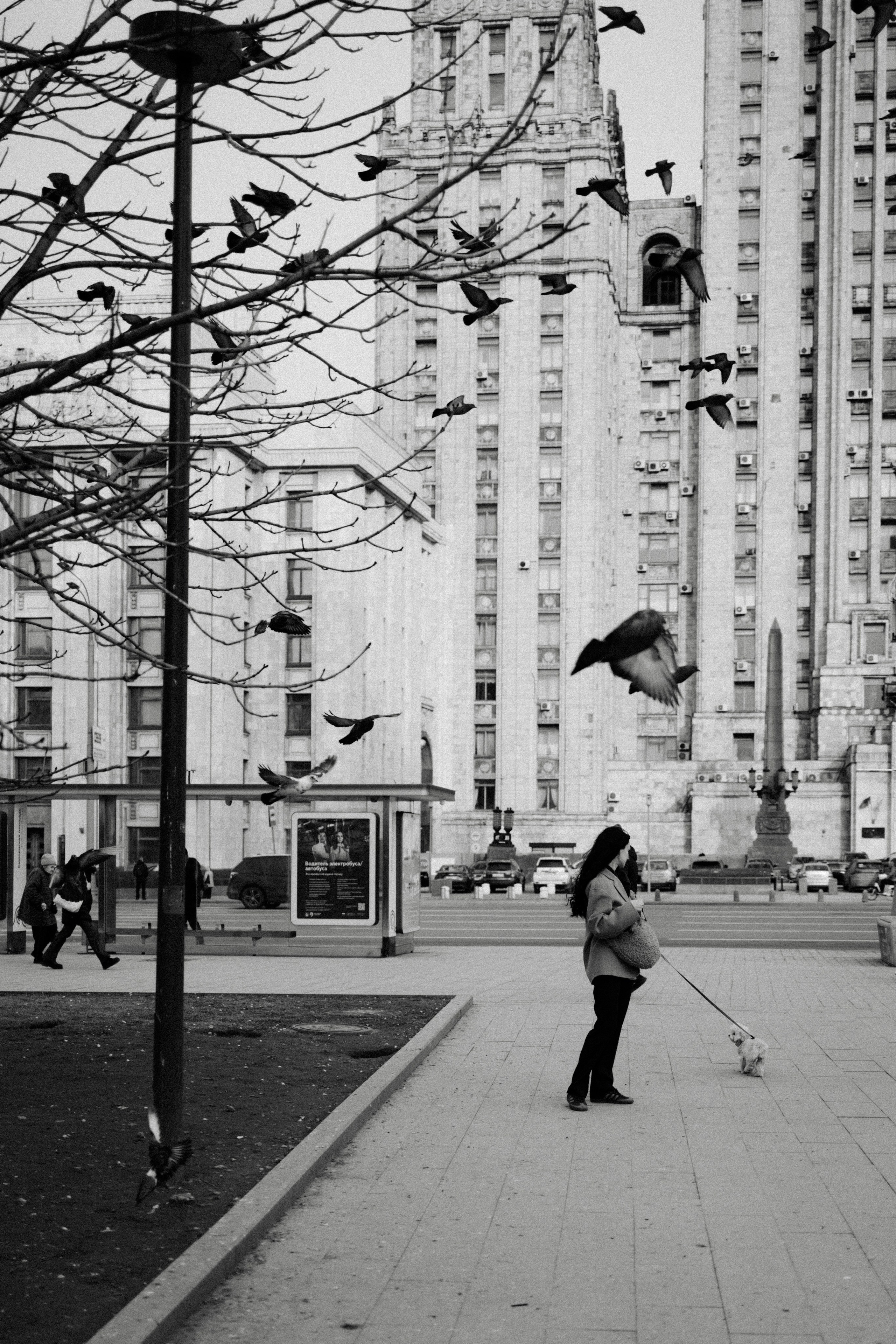 Маша, Лиза и Луна. Фотораф — анималист Мария Шистка