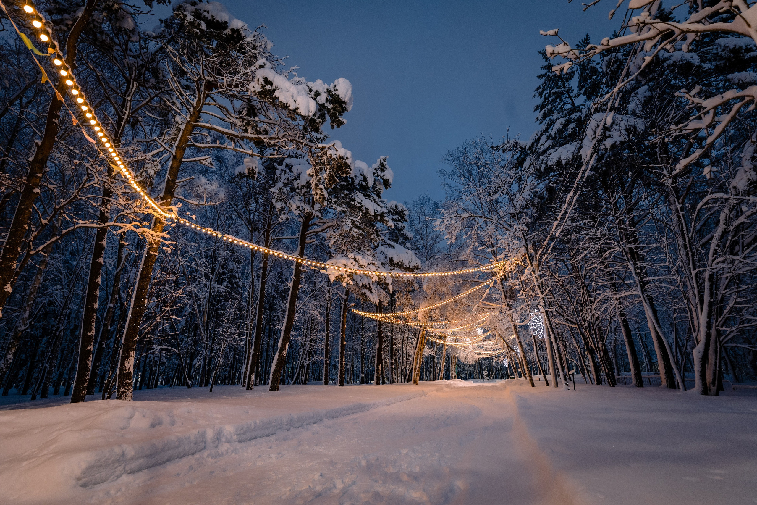 О.Сахалин. Фотограф. г. Южно-Сахалинск. Олег Толстов